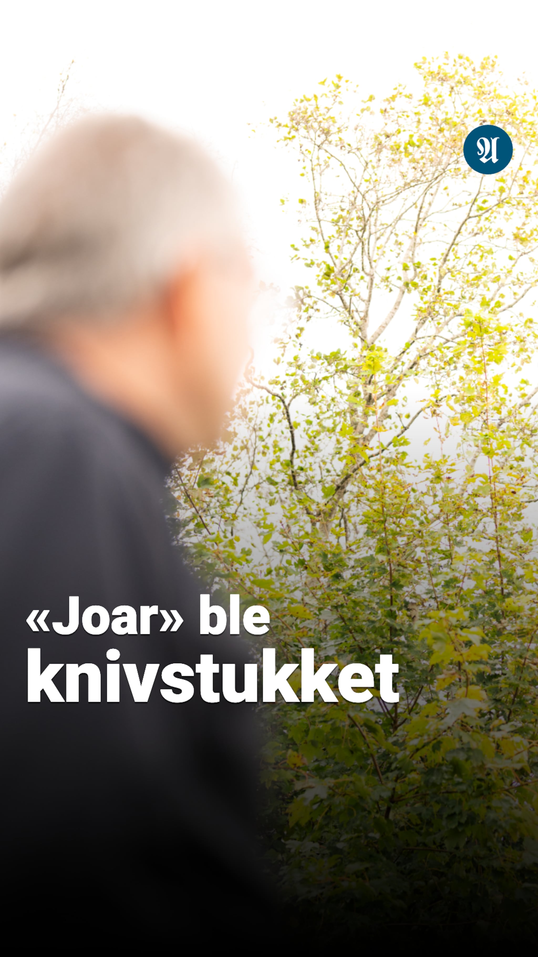 «Joar» har lenge advart om forholdene