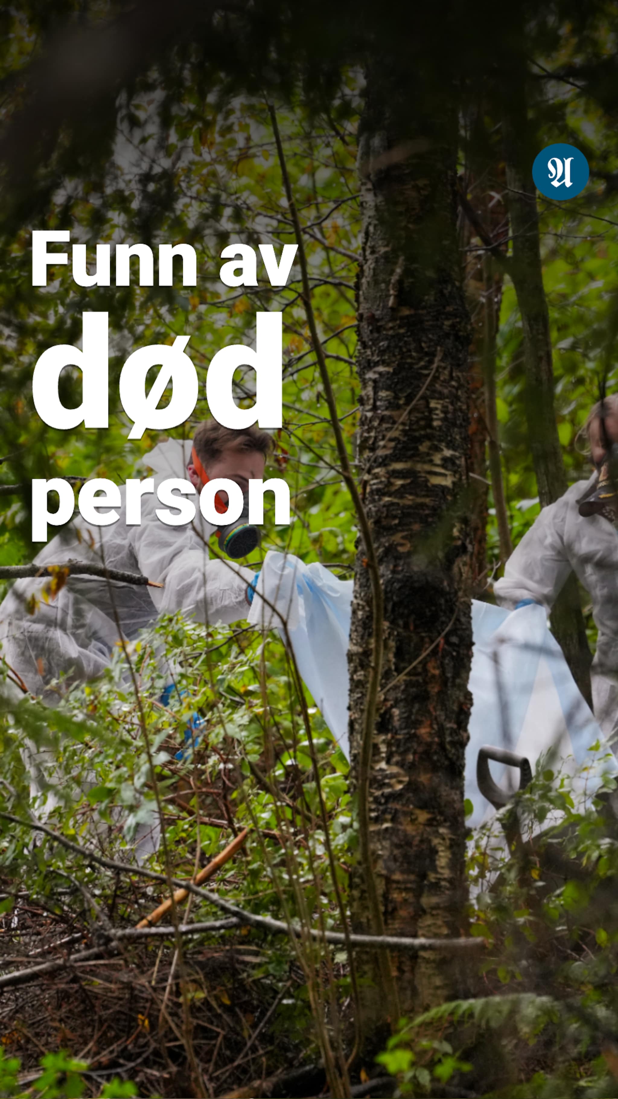 Død person funnet i Trondheim