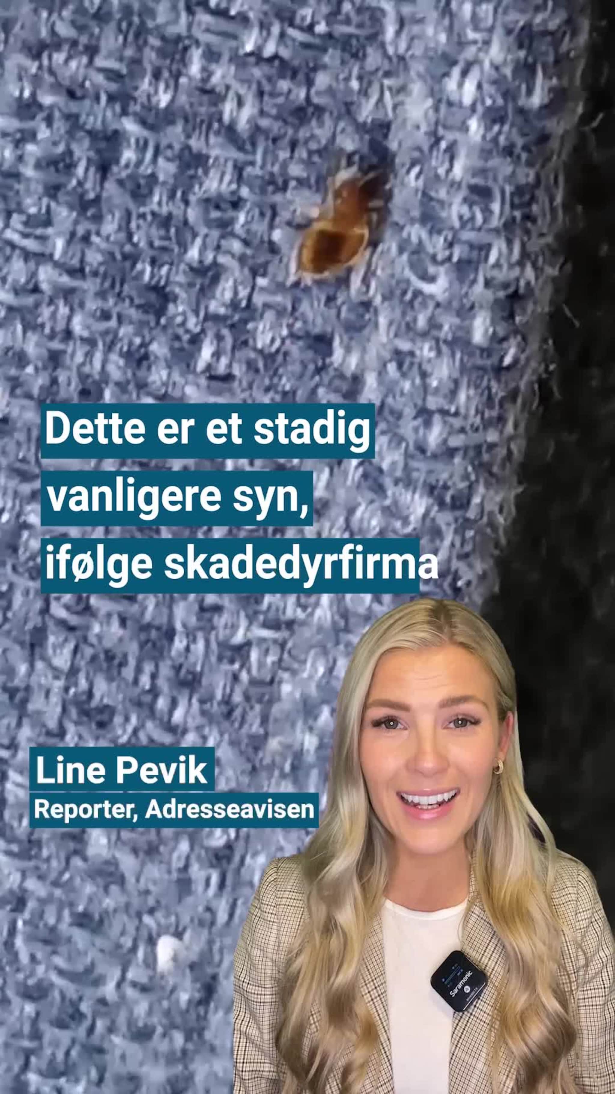 – Det verste skadedyret
