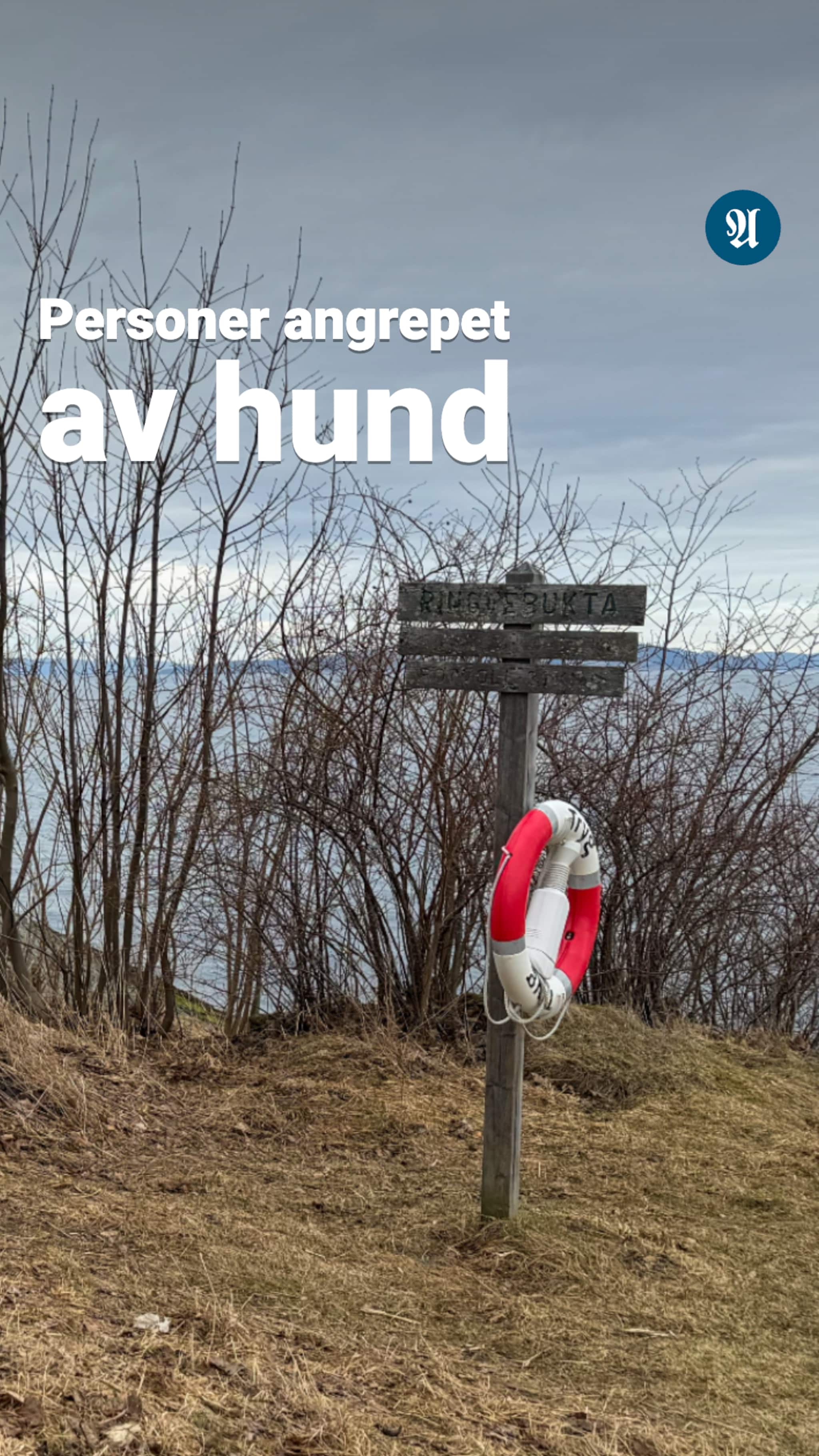 Personer angrepet av hund på populær tursti