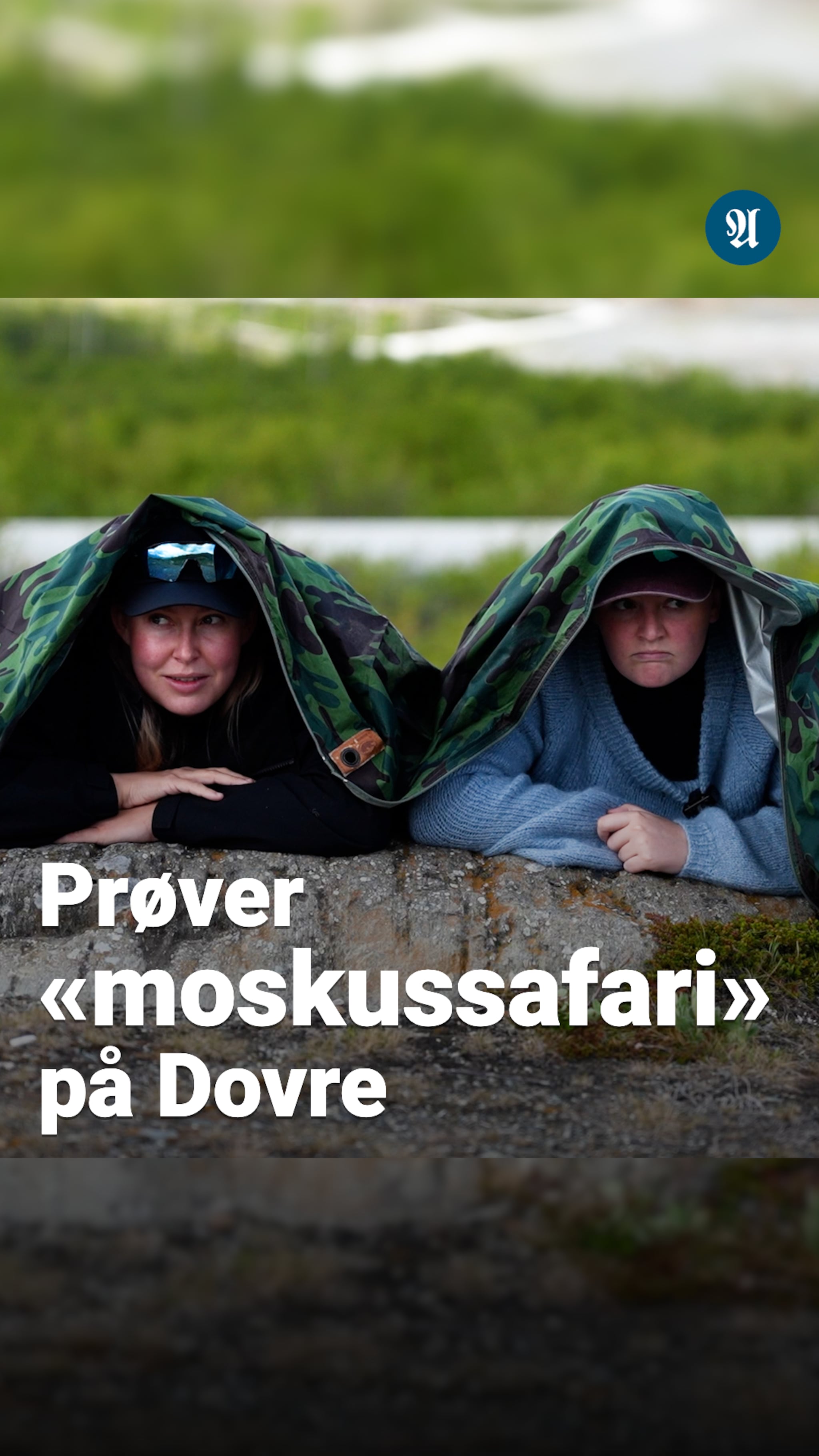 - Jeg drar ikke herifra før jeg ser moksus