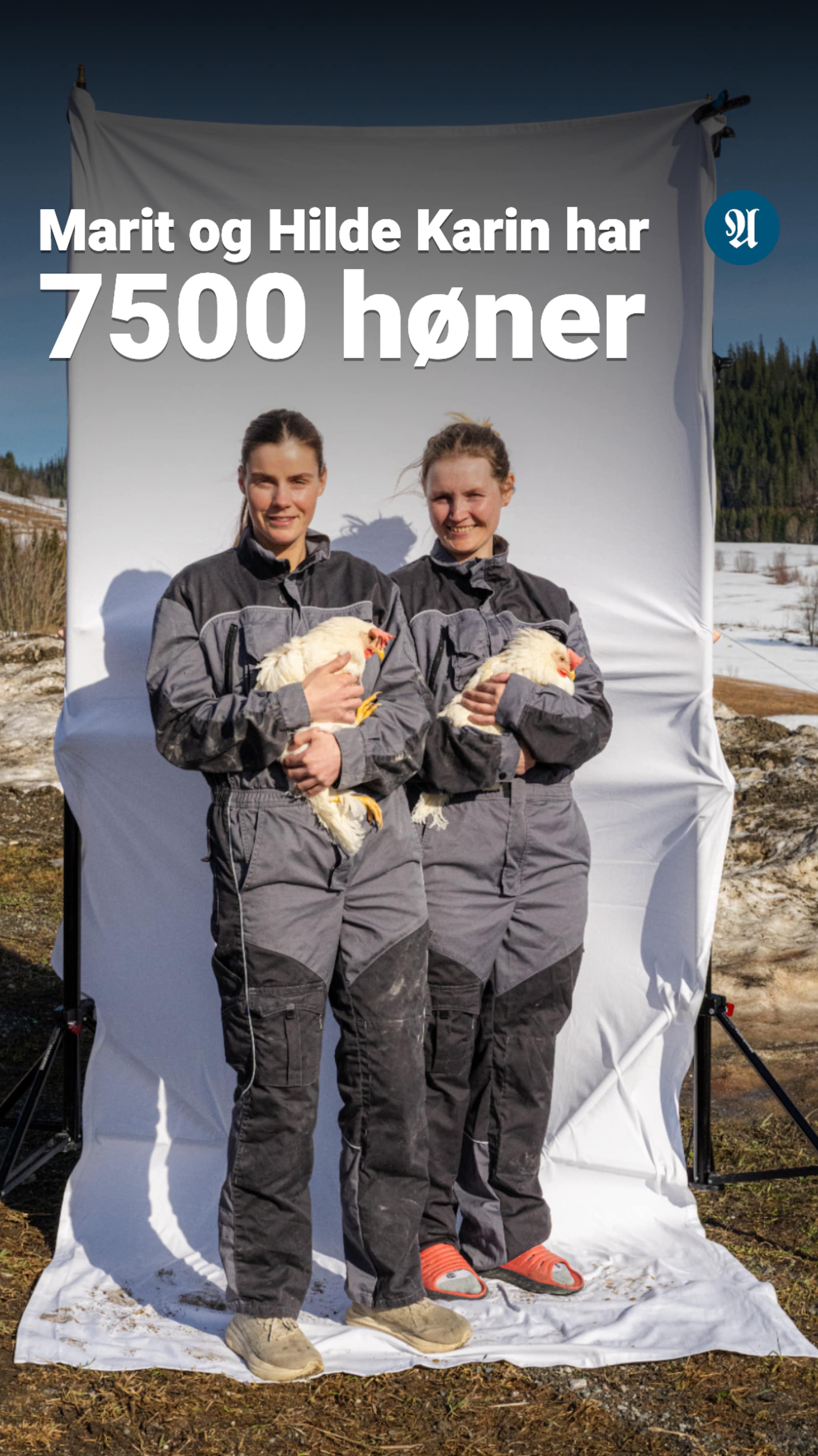 Slik tilbereder eggspertene egg