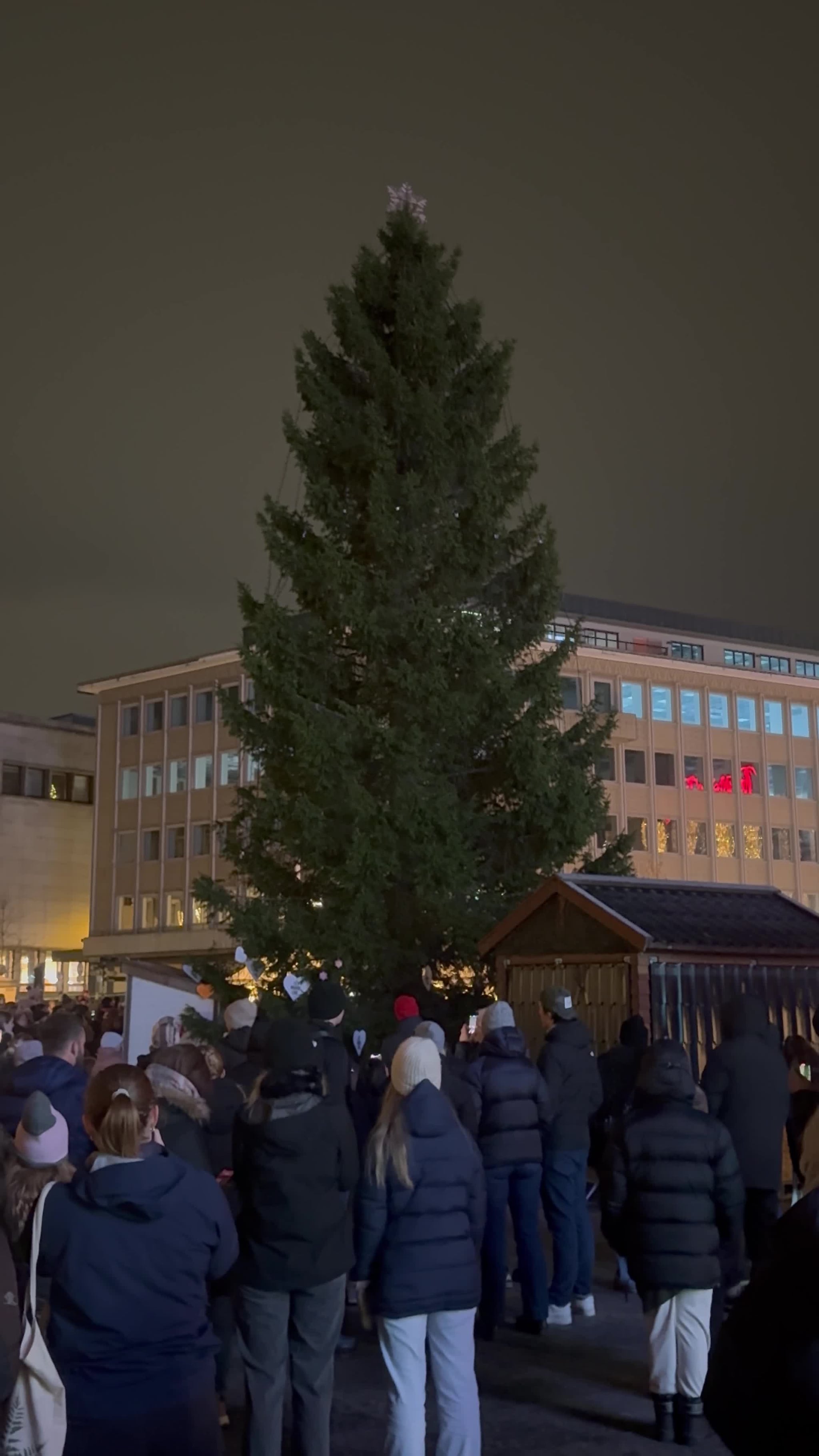 Grana tennes på Torvet