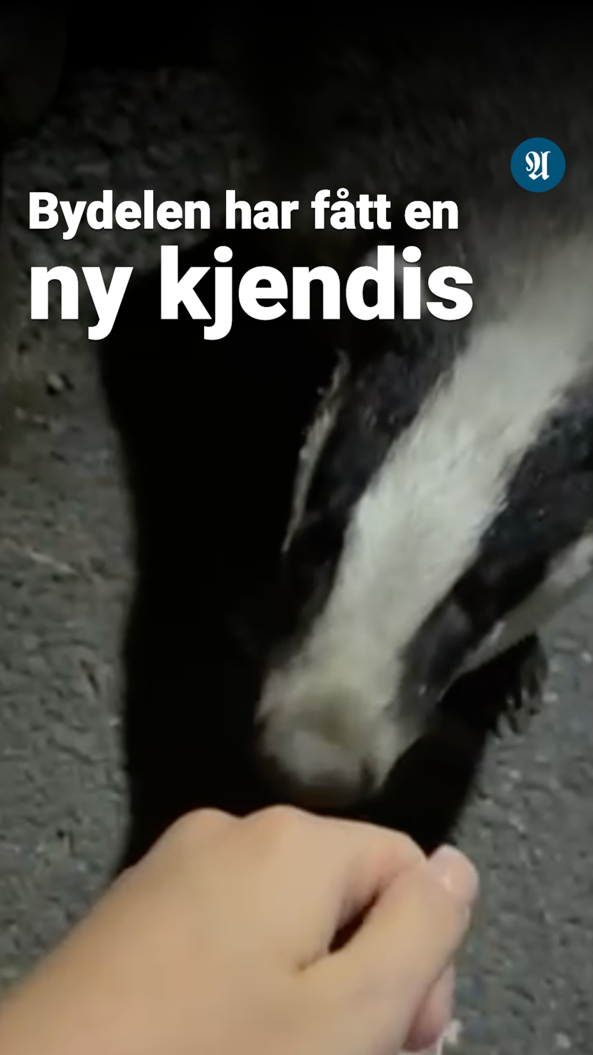 En uvanlig venn i fadderuka