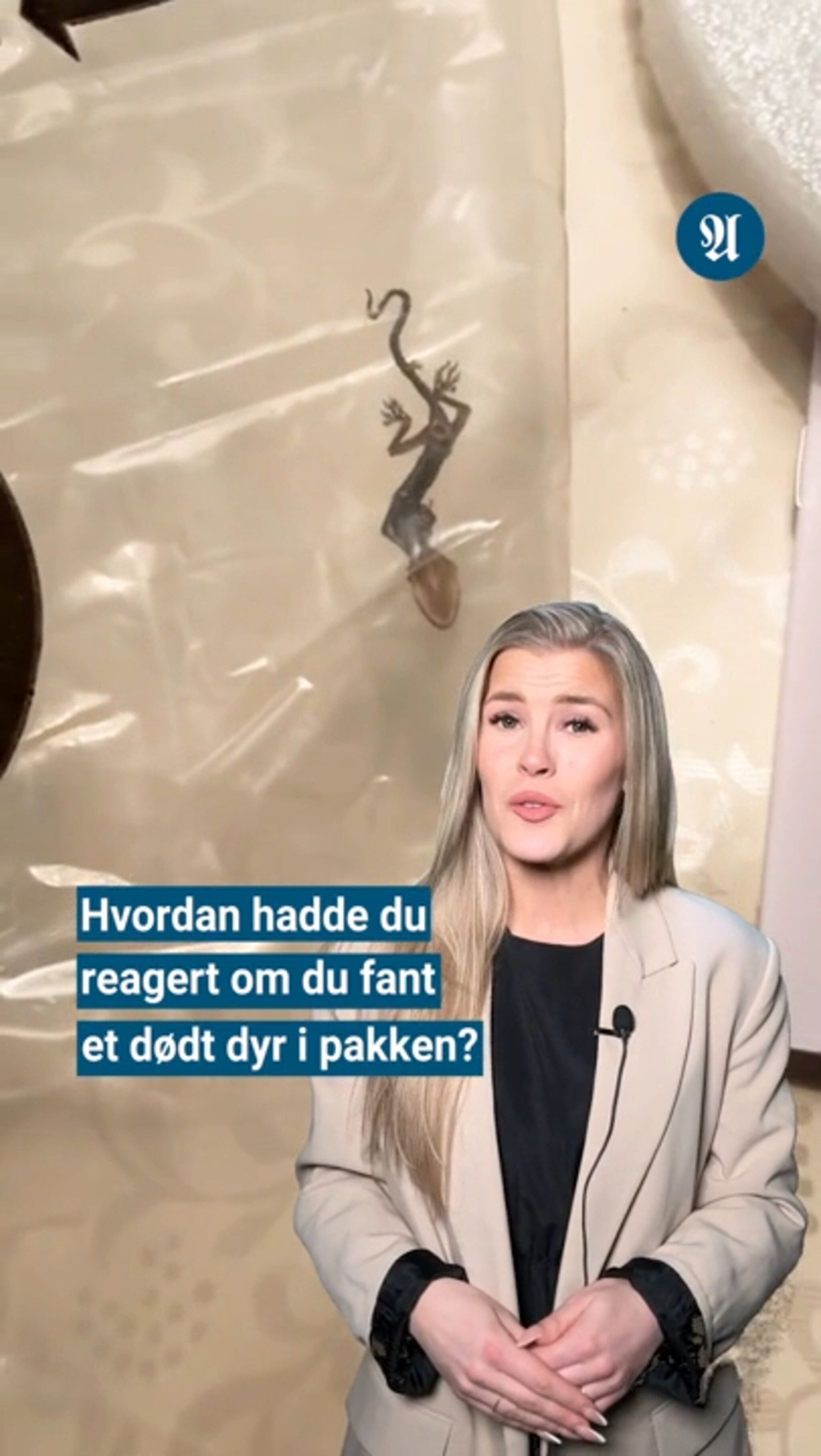 Fant dødt dyr i russeklærne