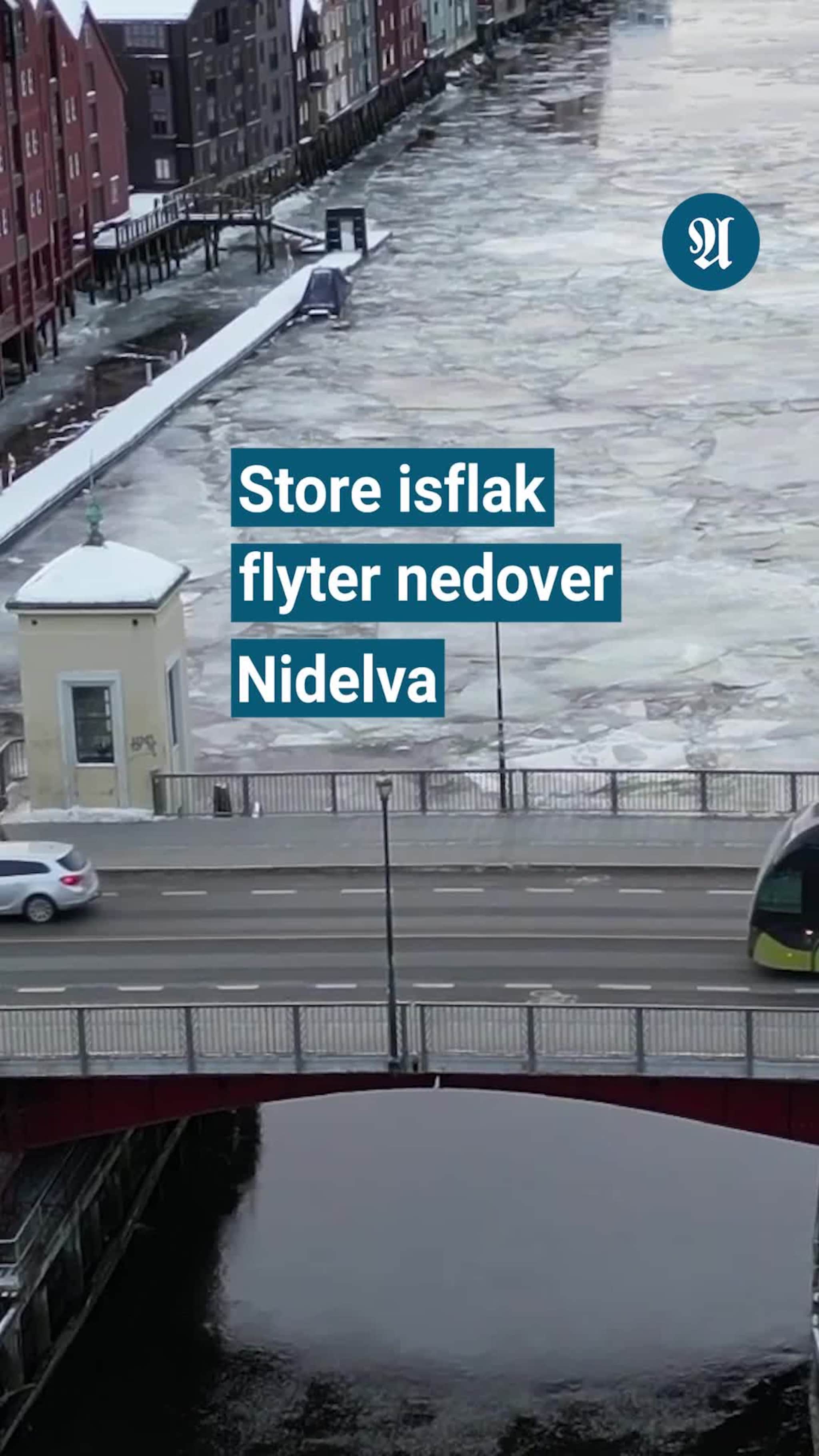 Store isflak nedover Nidelva