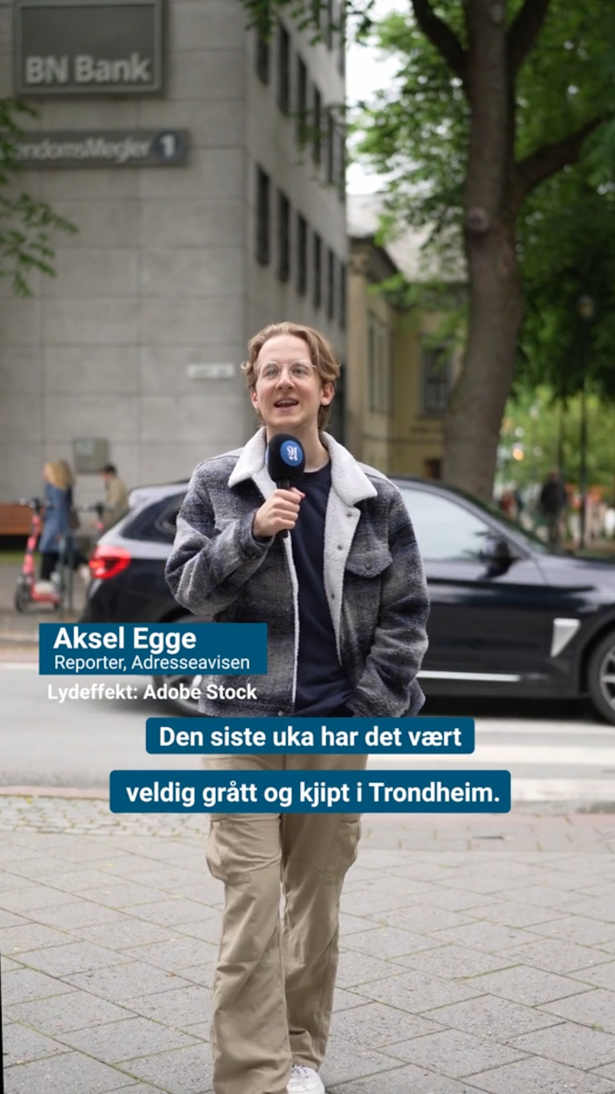 Lei av gråvær?