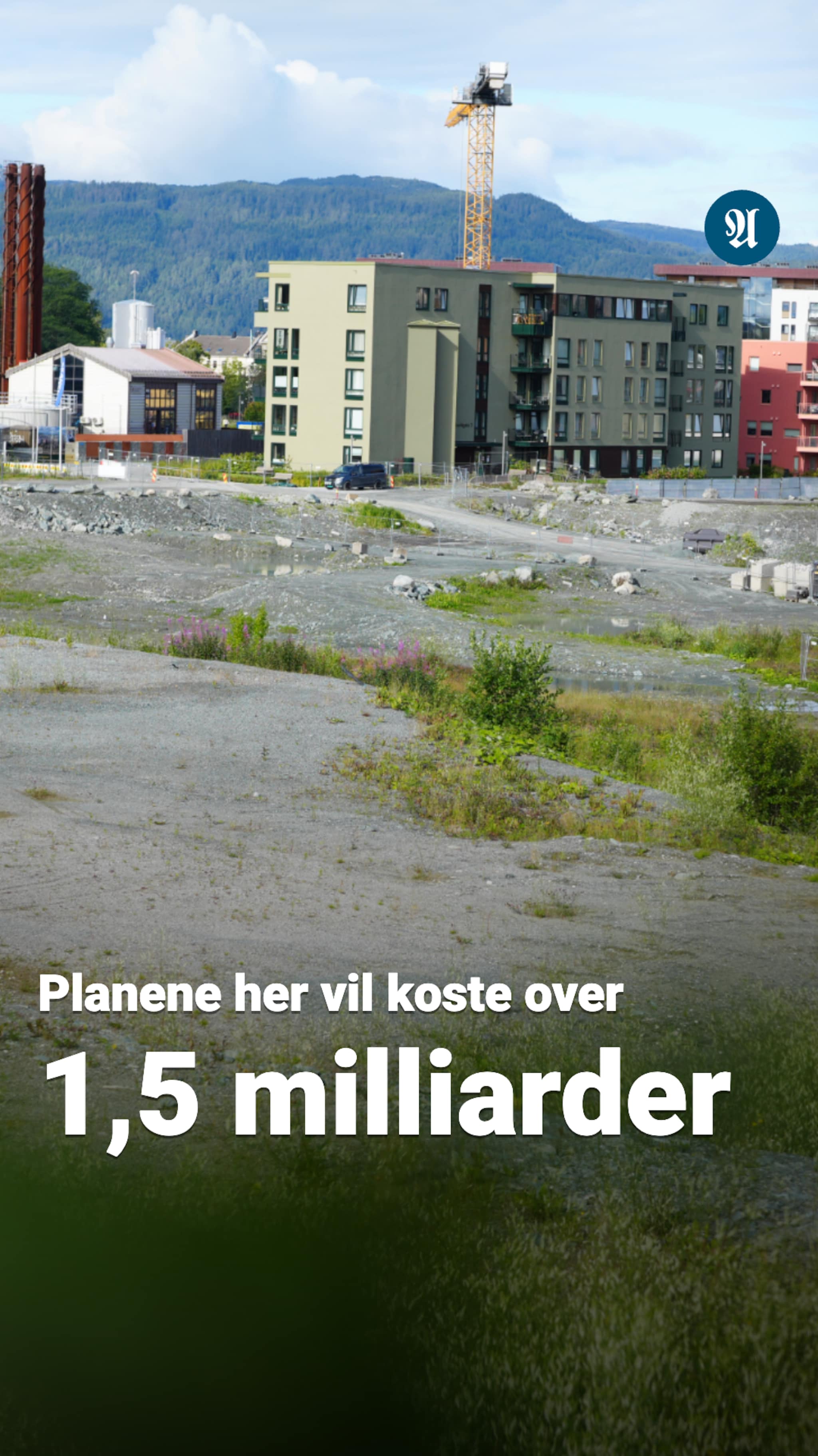 Store planer på Lade