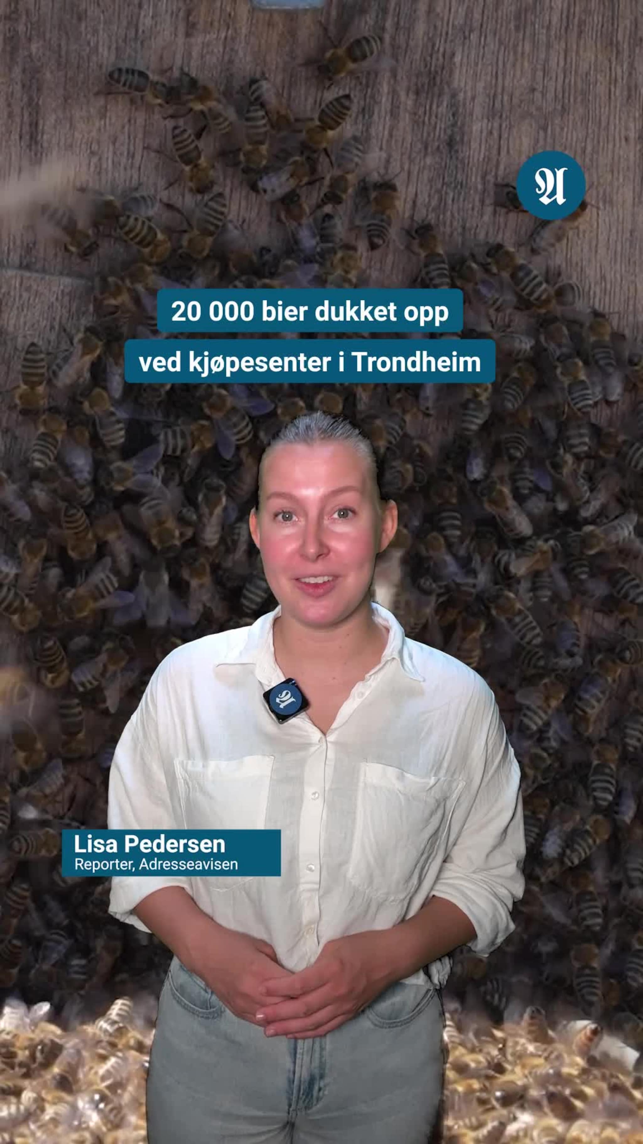 20 000 bier på kjøpesenter i Trondheim