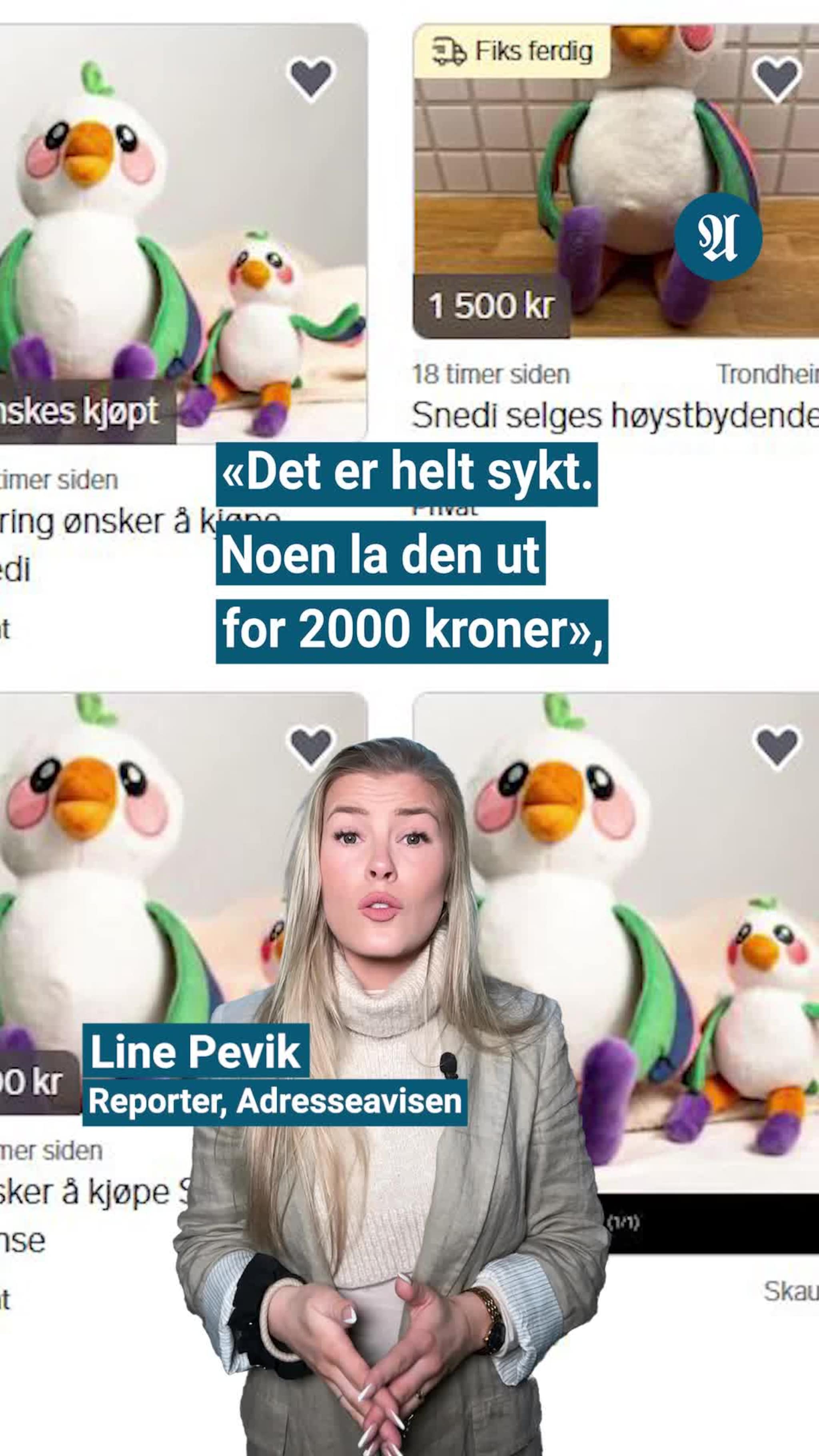 Mange er på maskot-jakt
