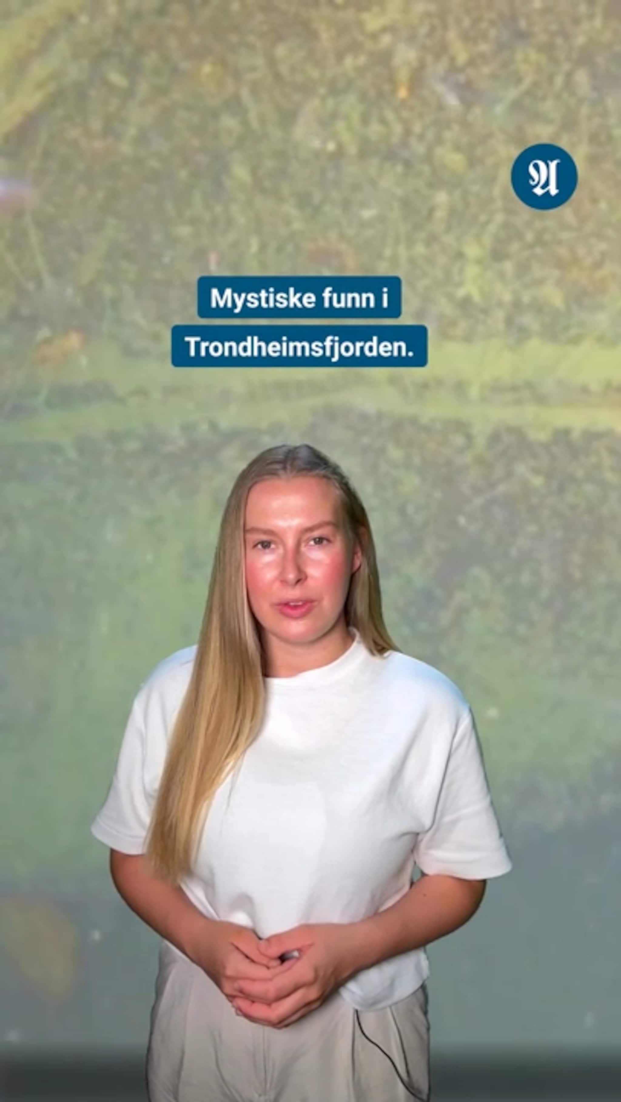 Gjorde overraskende funn i Trondheimsfjorden