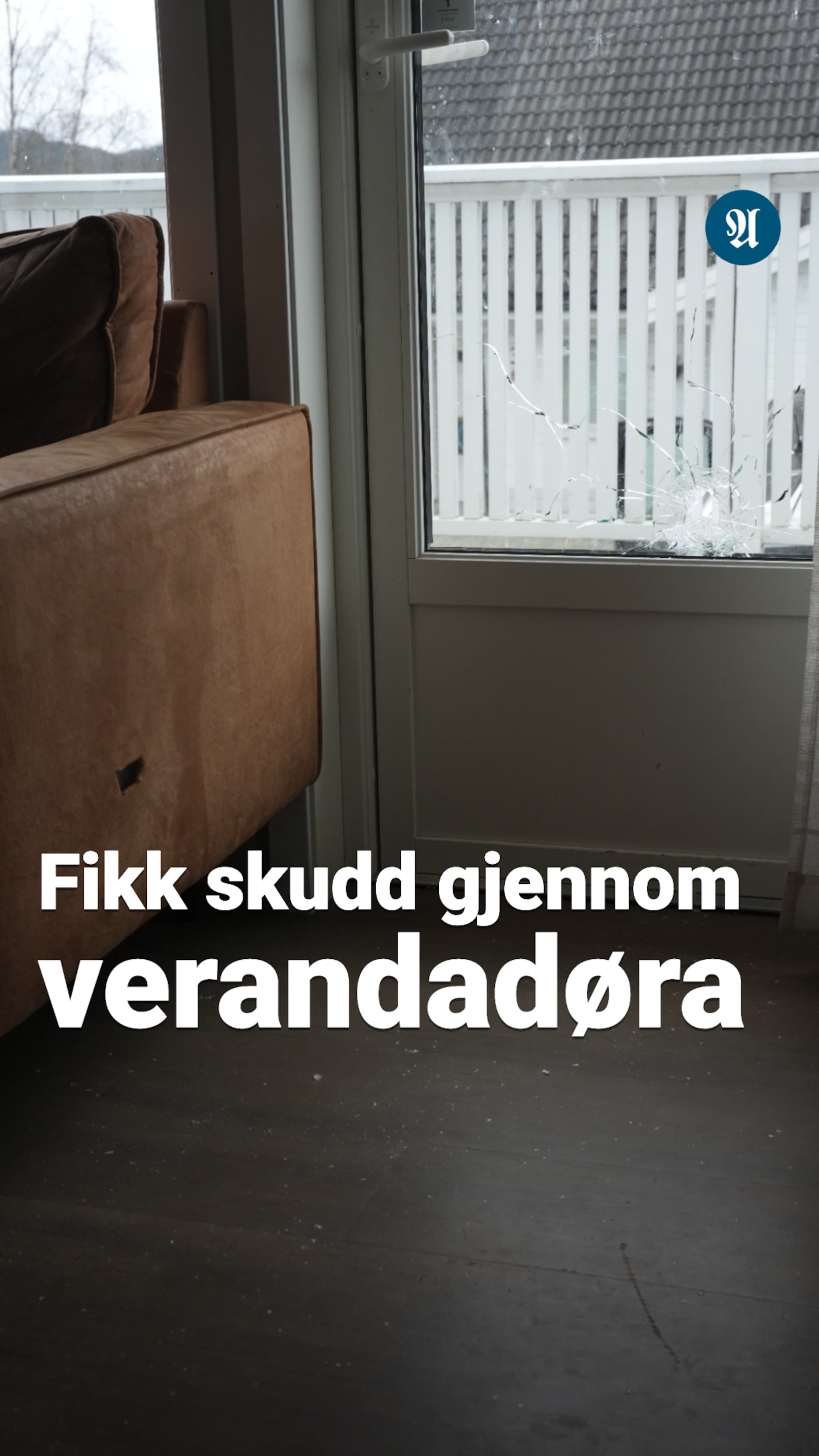 Fikk skudd gjennom verandadøra