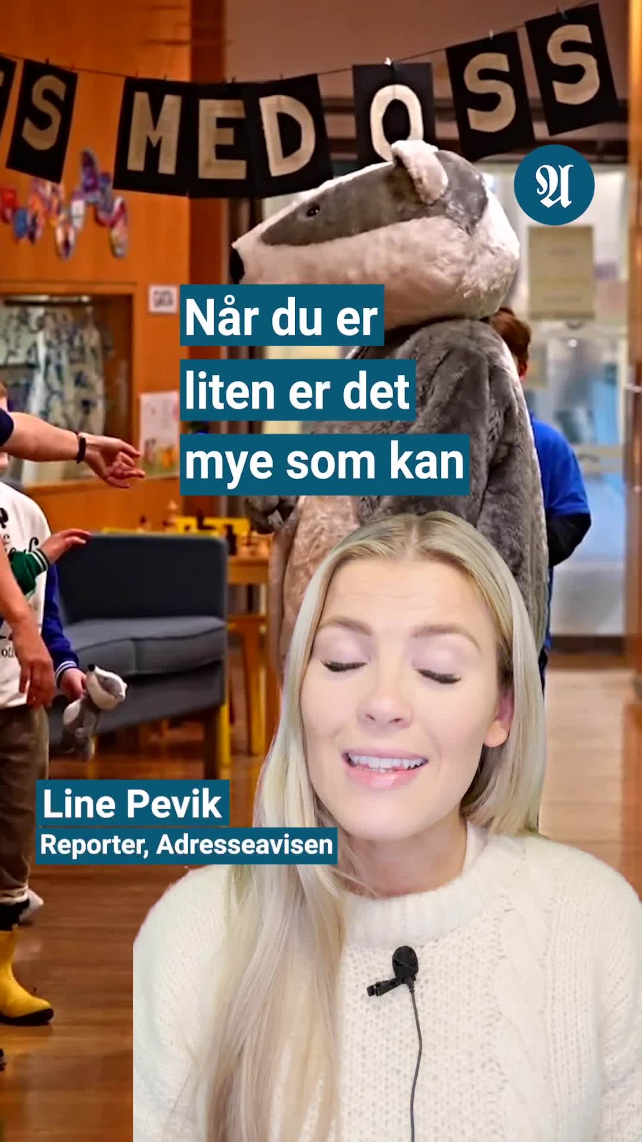 En grevling har gitt resultater på St. Olav