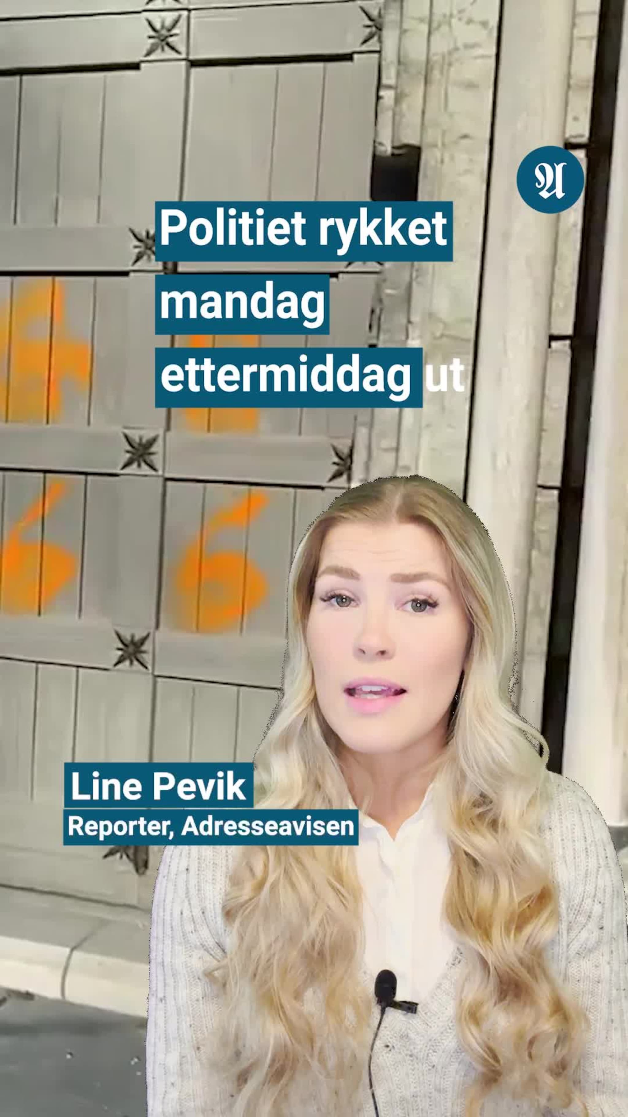 Mann gjorde hærverk på Nidarosdomen