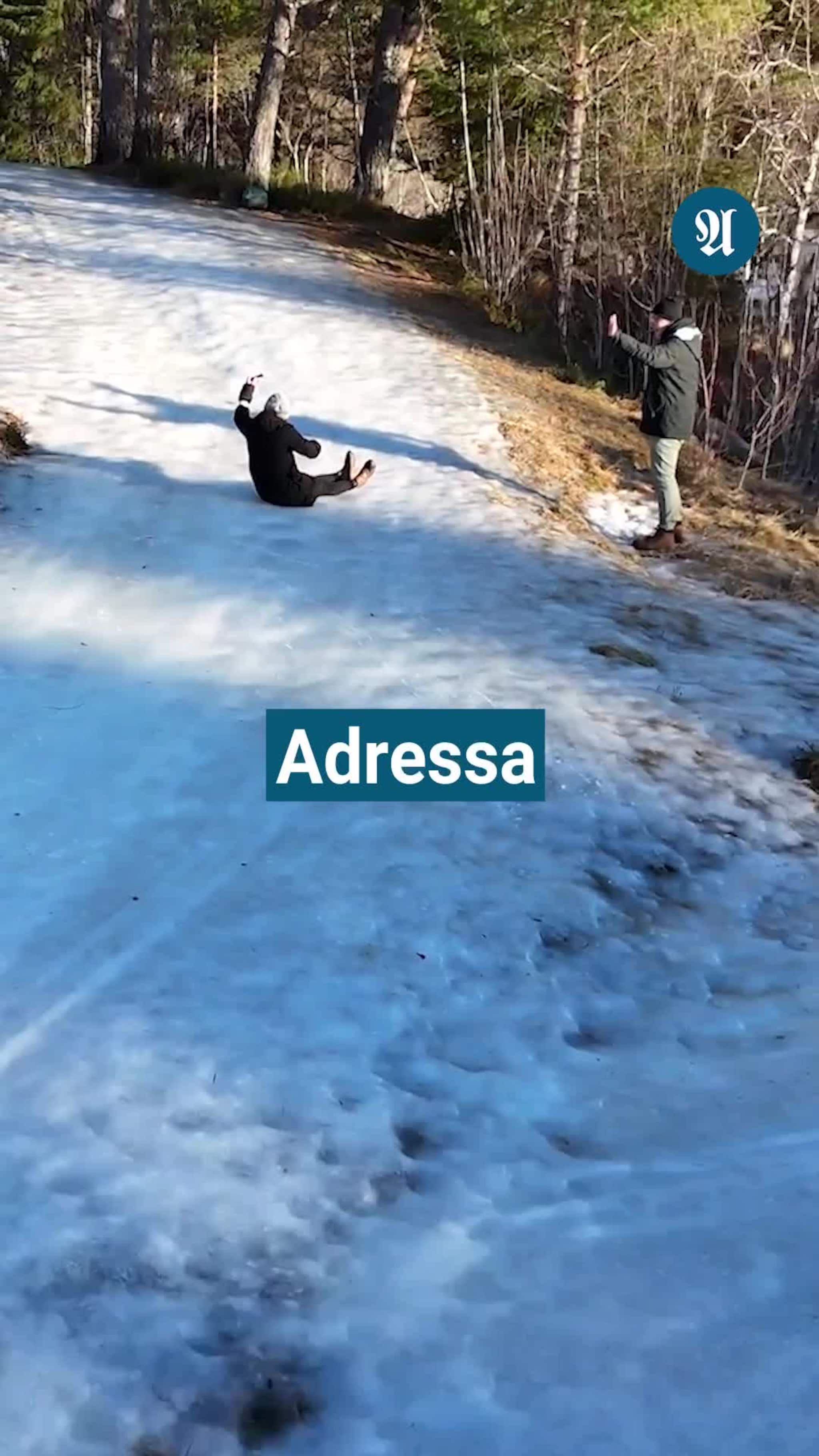 Adressa tester brodder