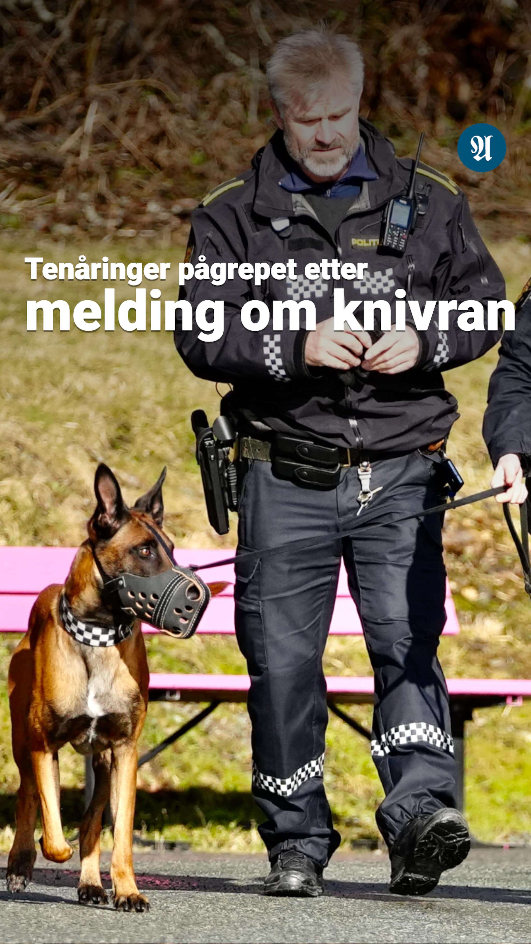Tenåringer siktet for ran