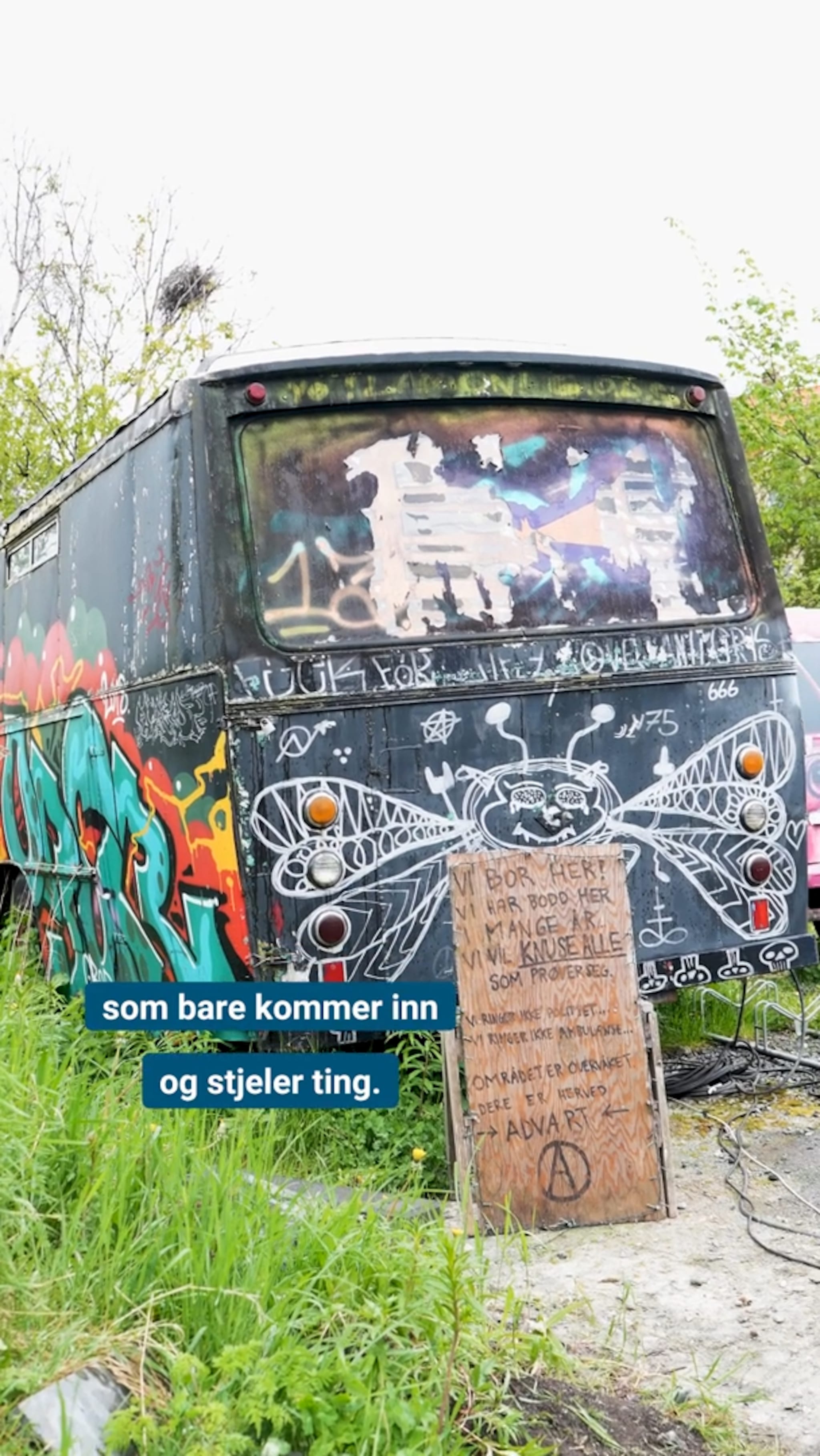 Bli med på innsiden av Svartlamoen