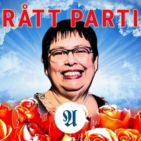 Image for Rått parti