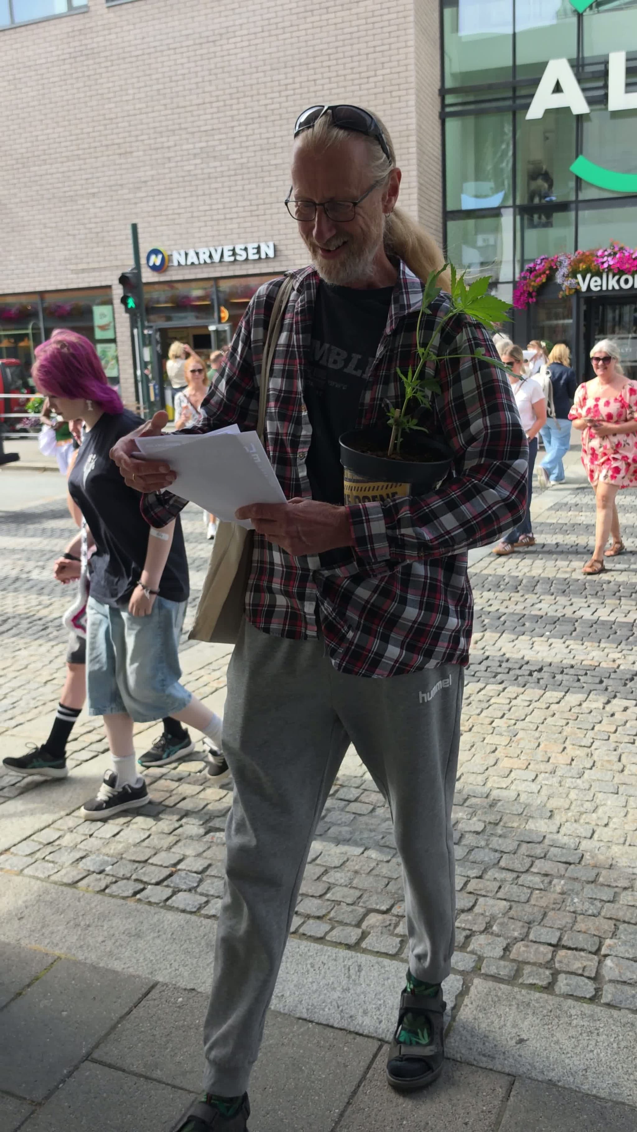 Demonstrerte med hasjplante