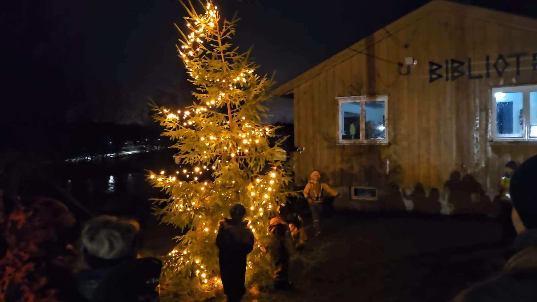 Tenner julegrana på Nesheim