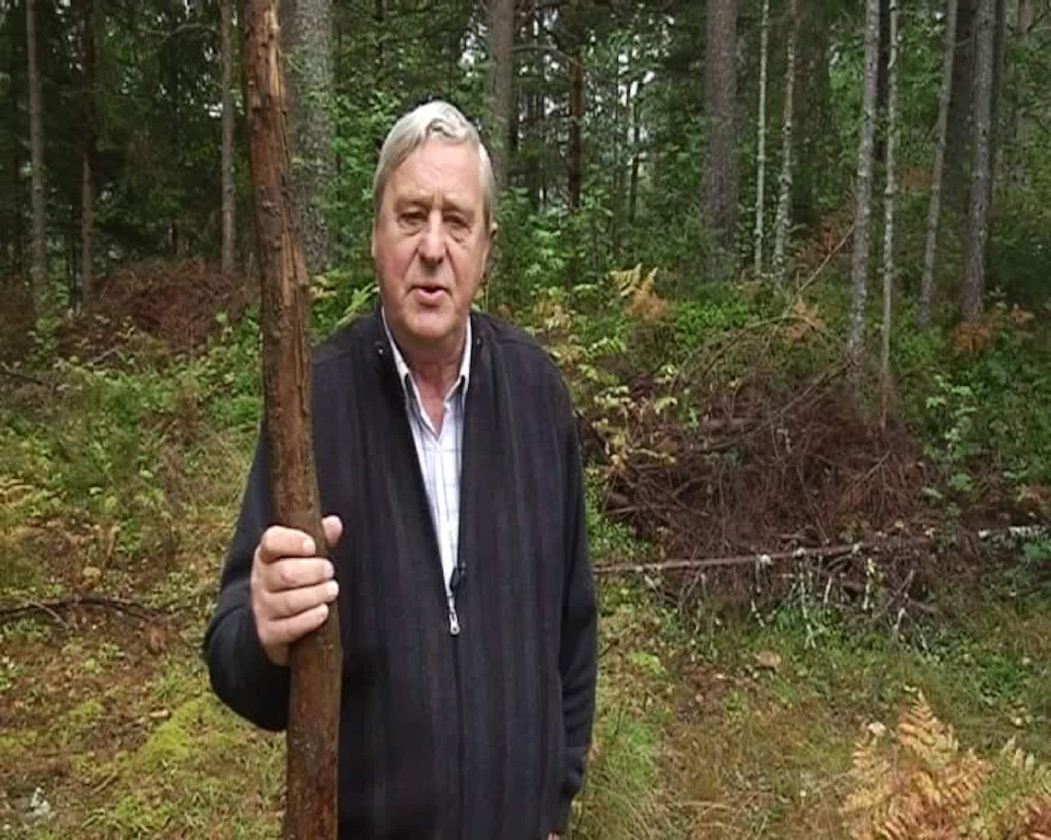 Sagnomsuste Agder: Magnhildsheddune