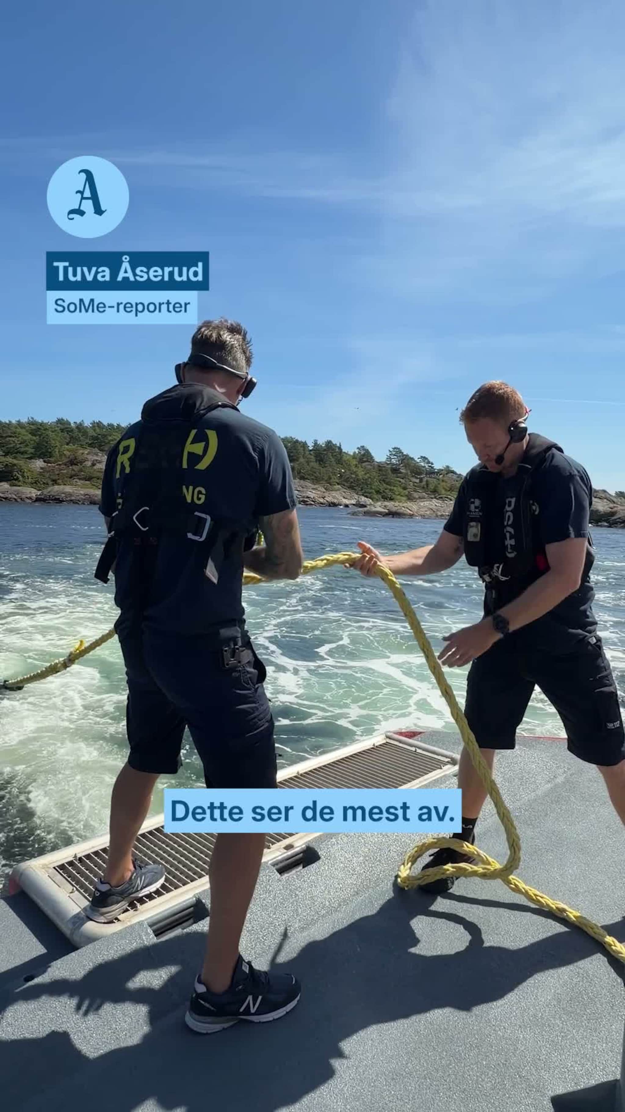 Dette ser de mest av på sjøen