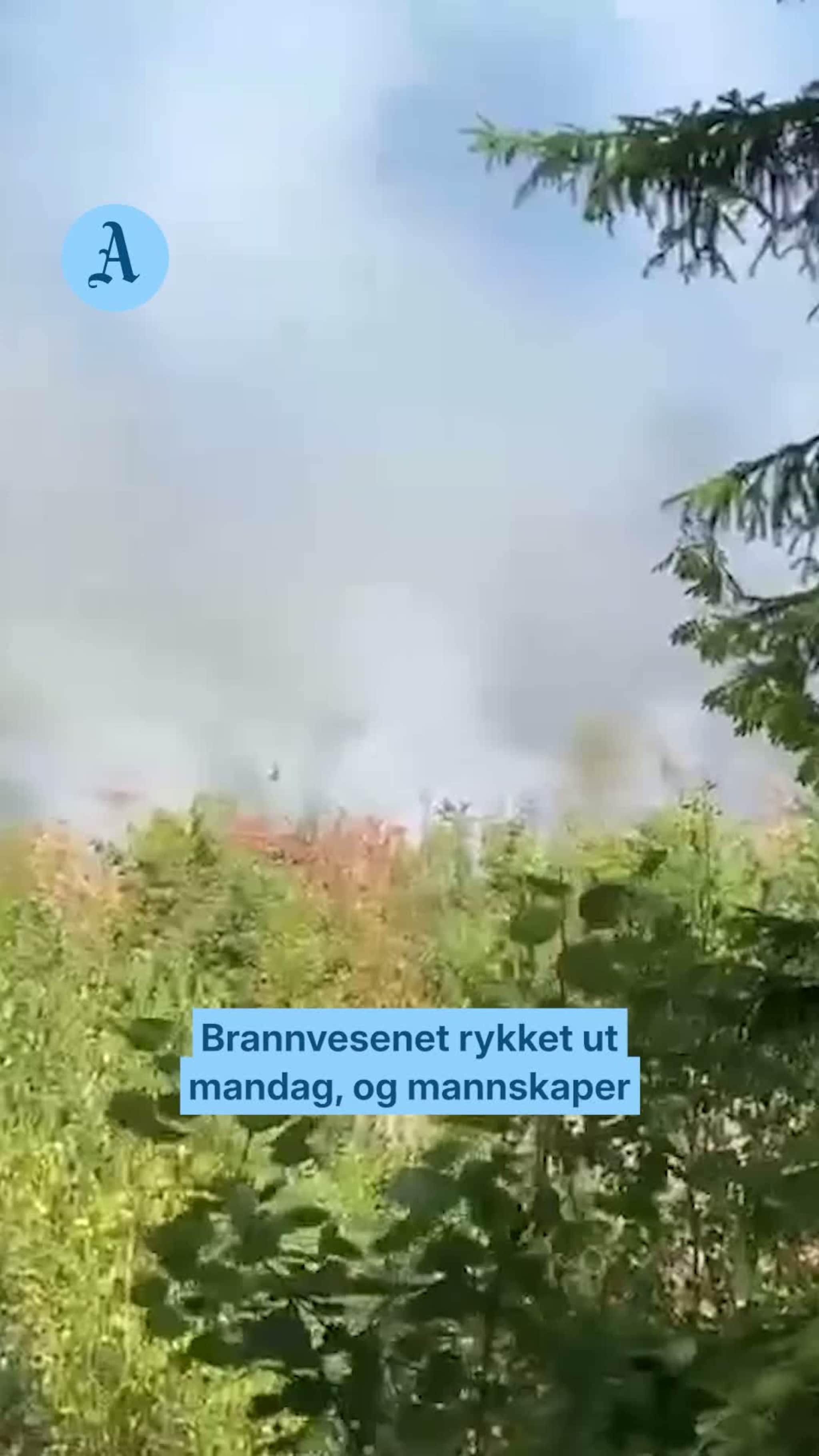 Krattbrann på Tromøy