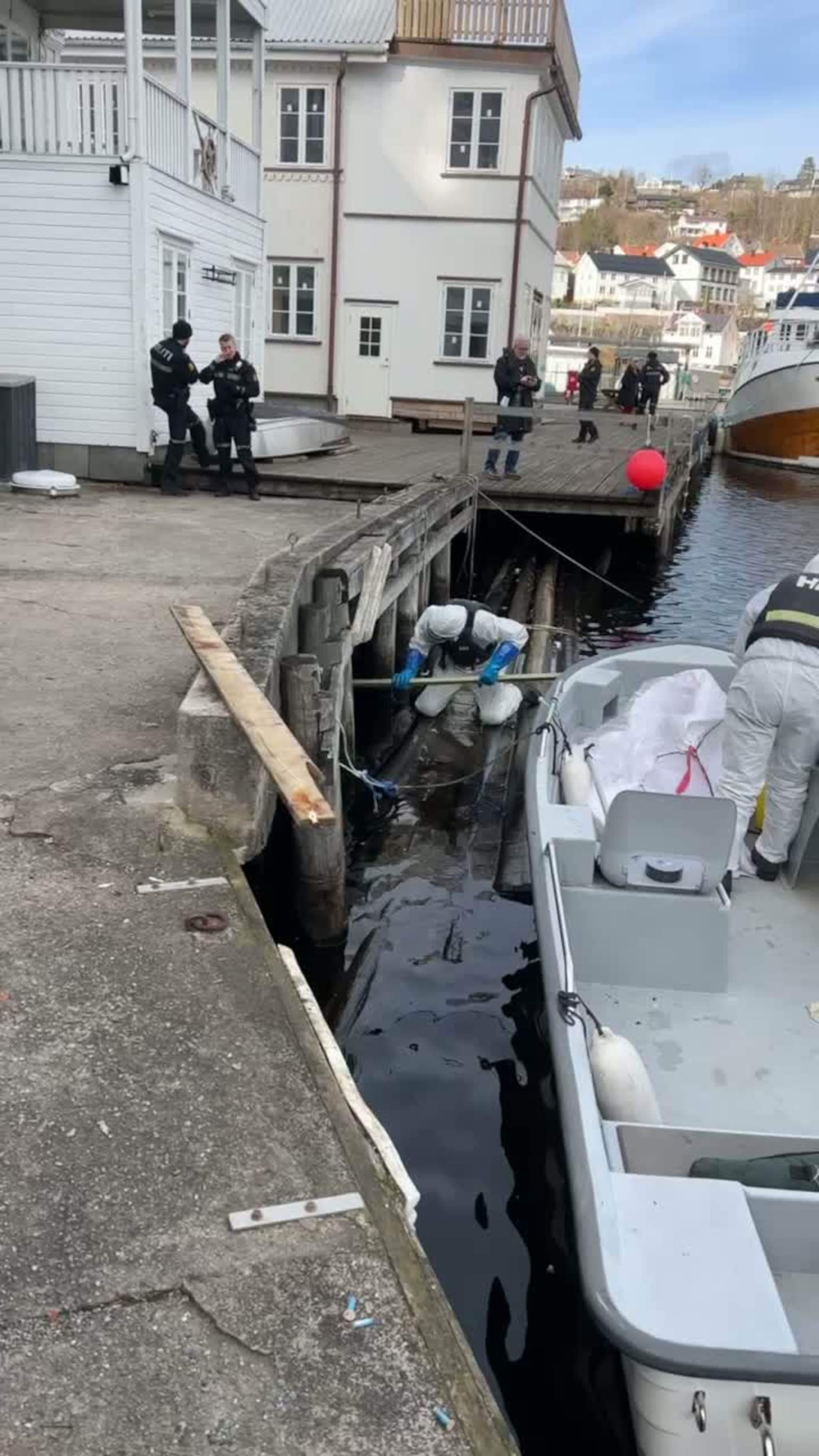 Her henter de den døde fuglen