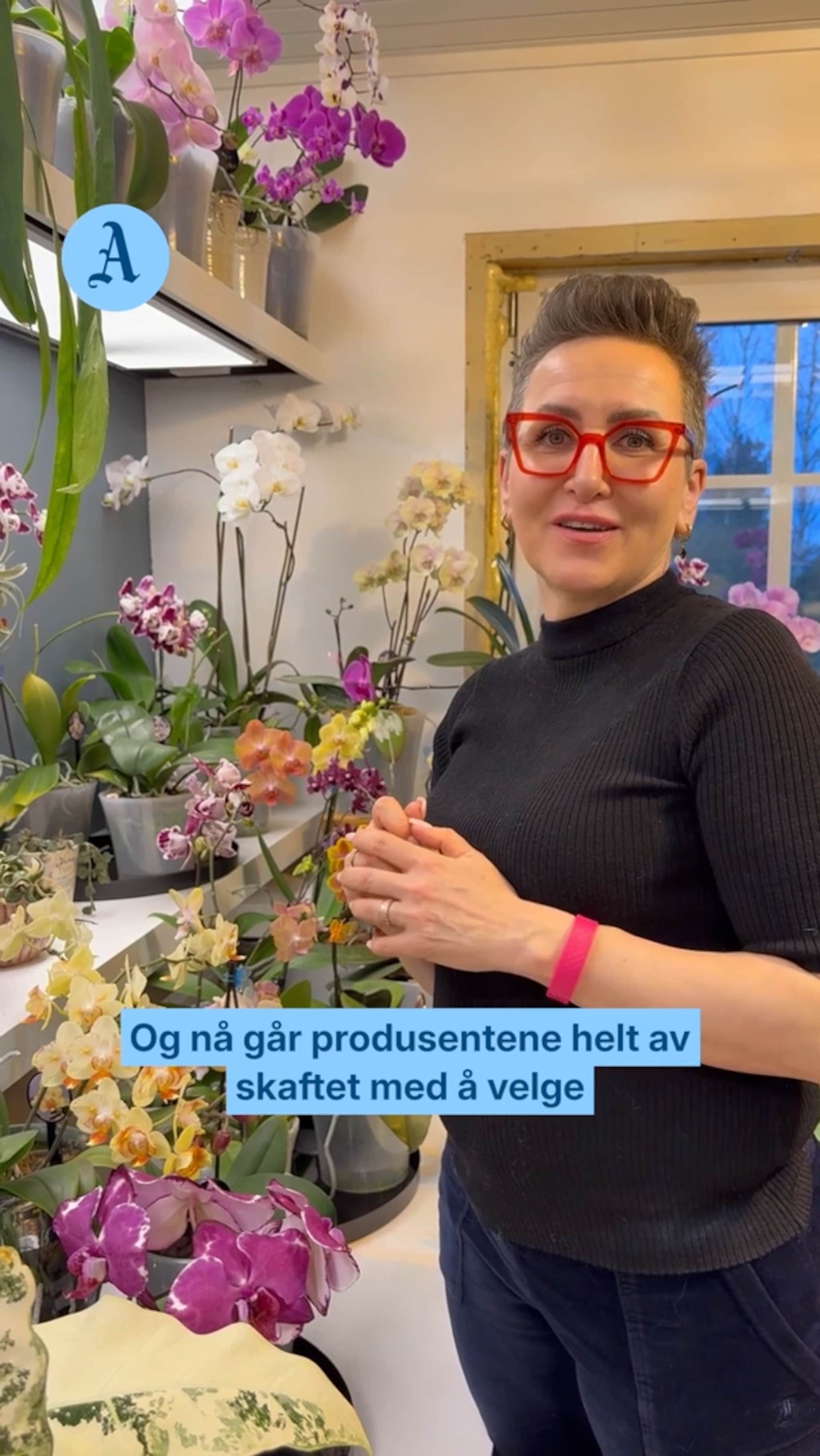 Jurgita har stua full