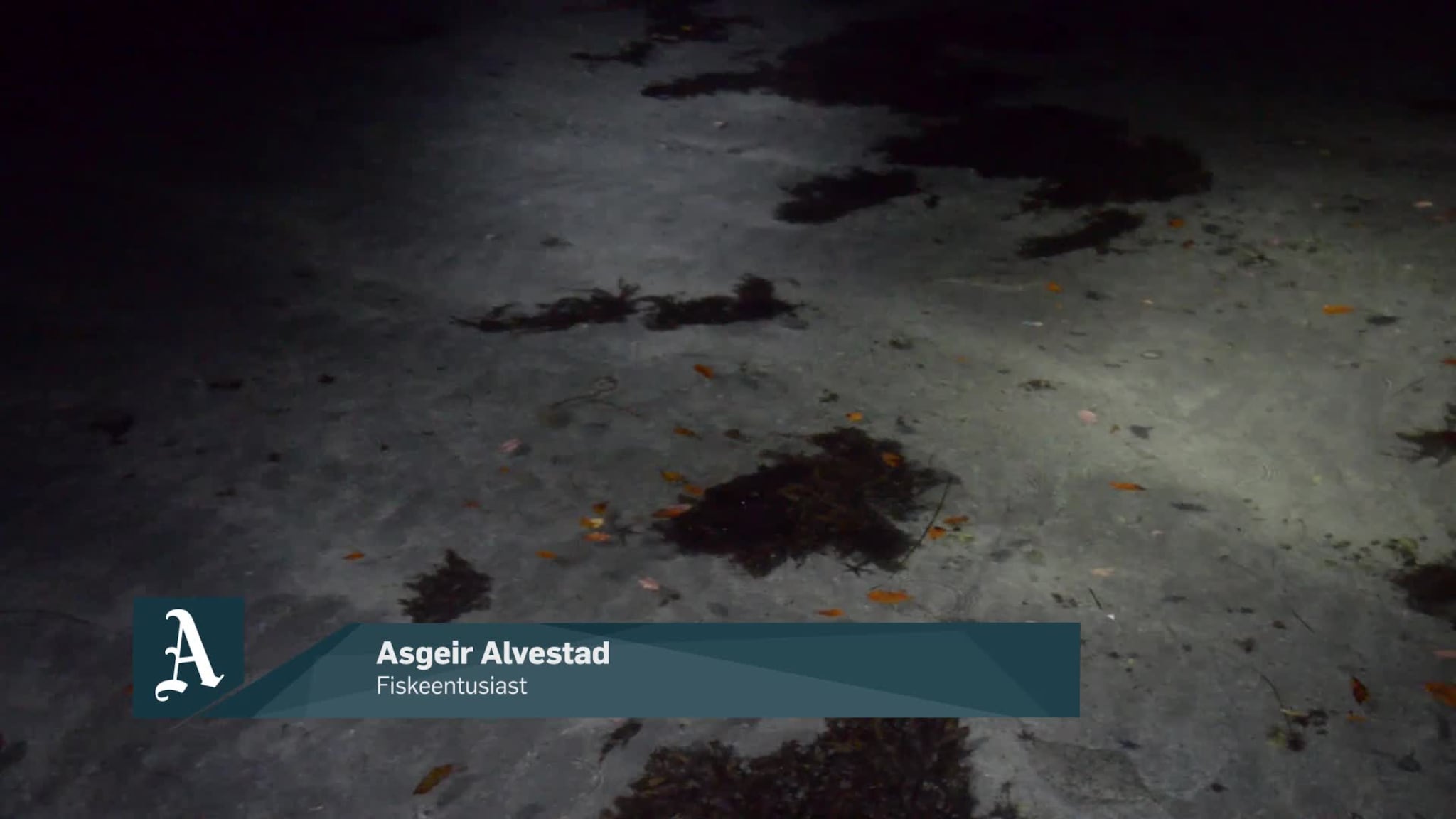 Bli med på lysfiske om natten