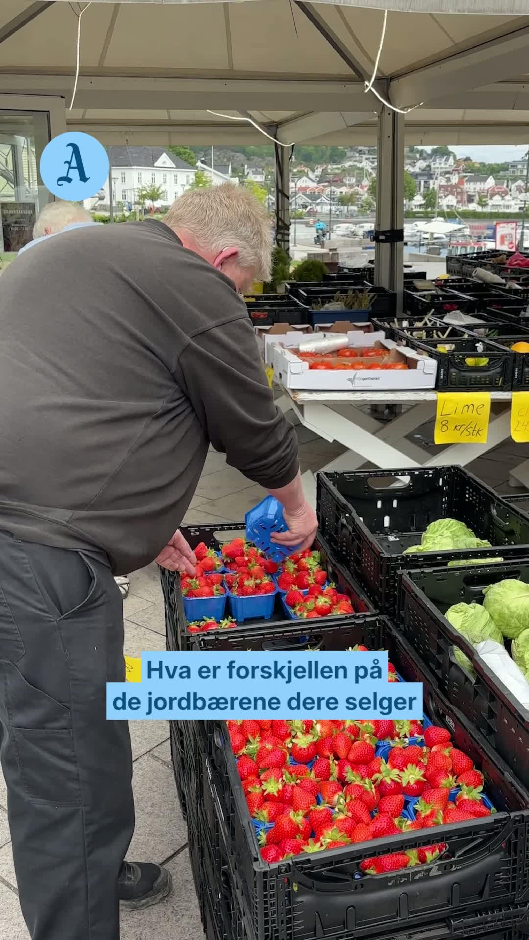 Dette koster norske jordbær