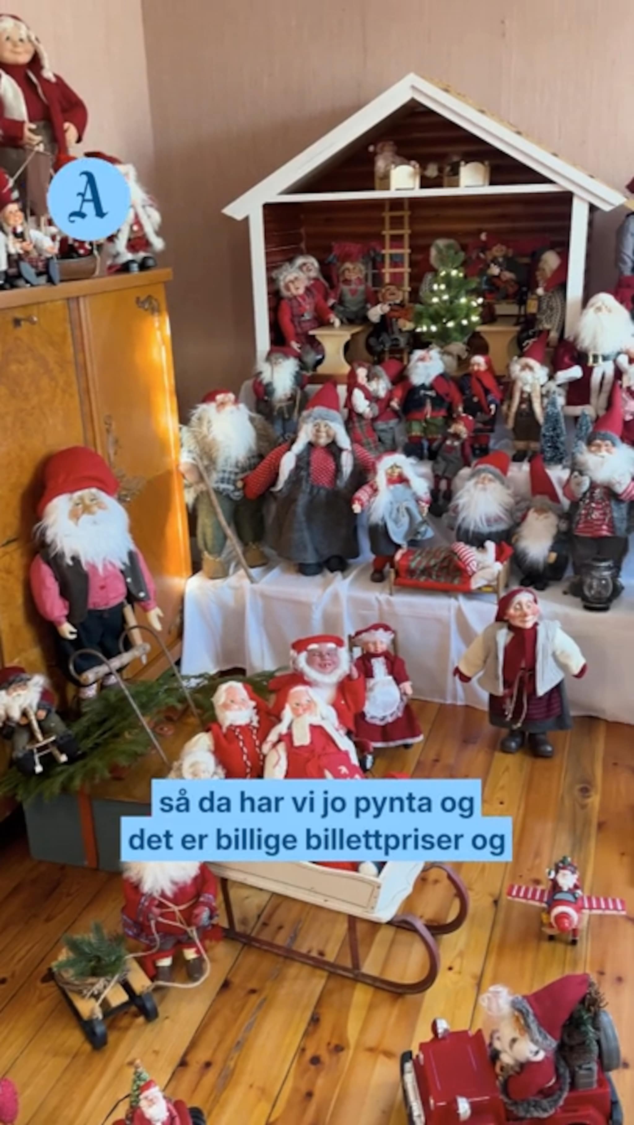 Åpnet egen julepark
