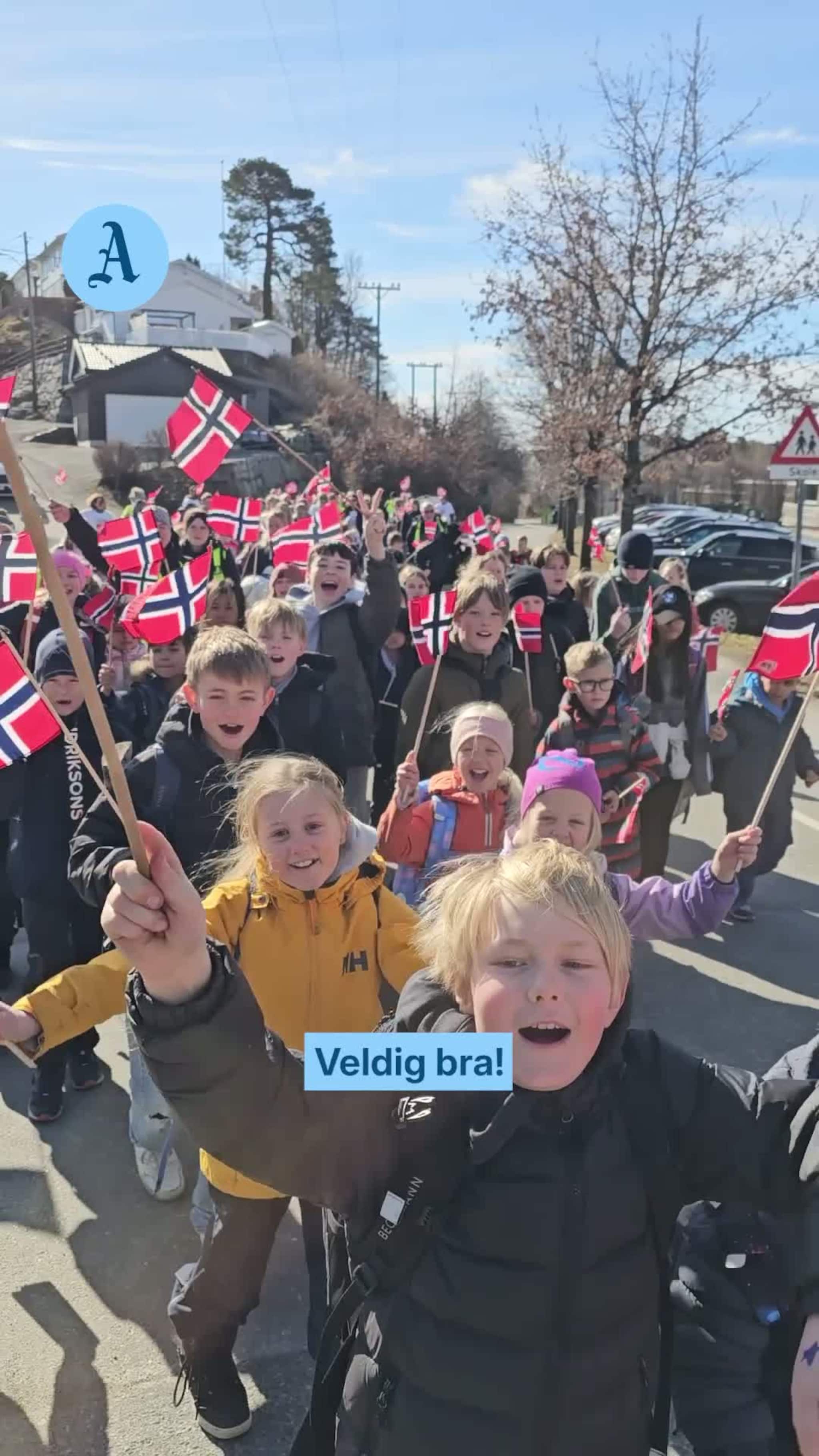 Feiret med flagg og pølser