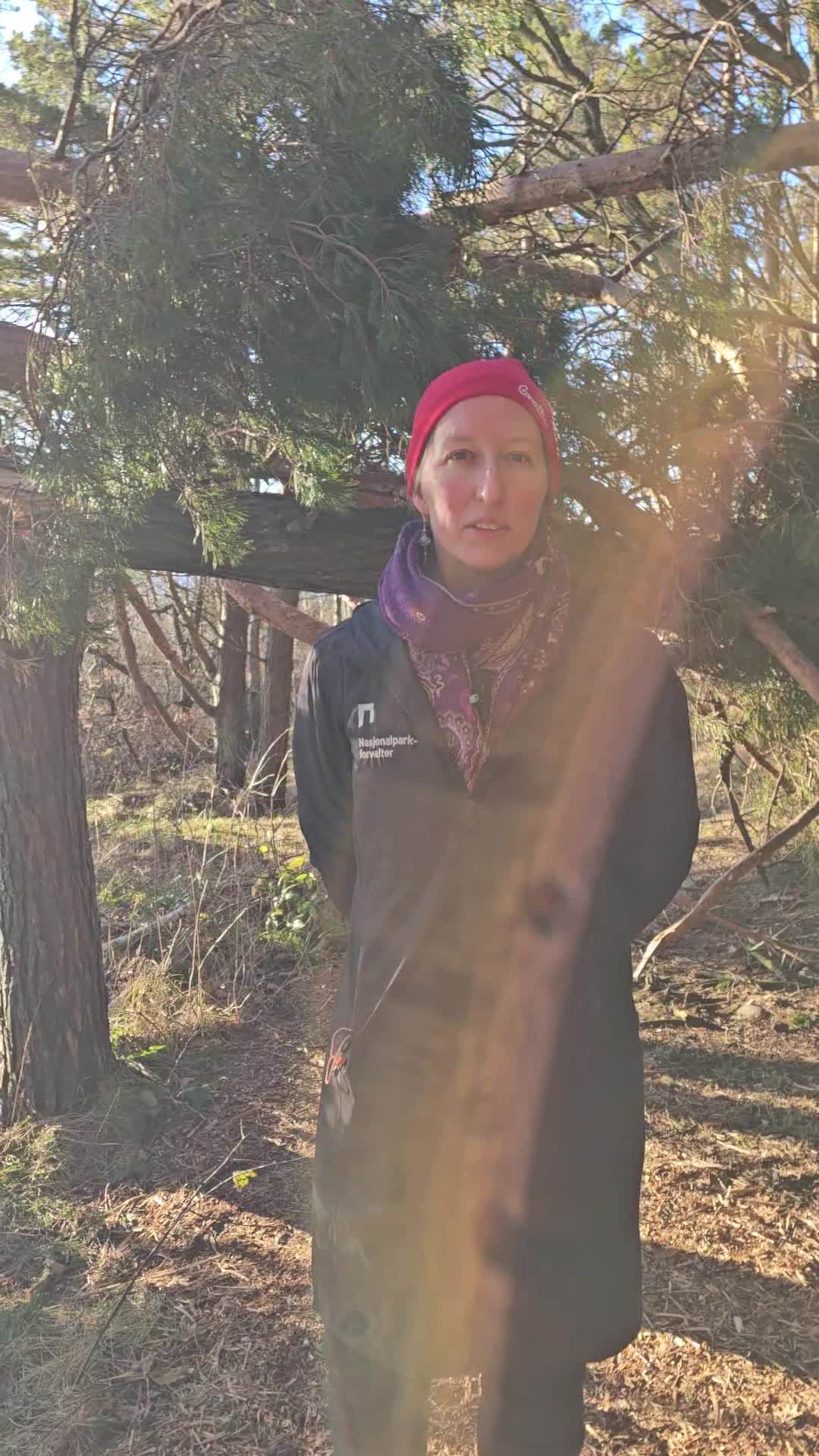 Derfor rydder de på Hove nå