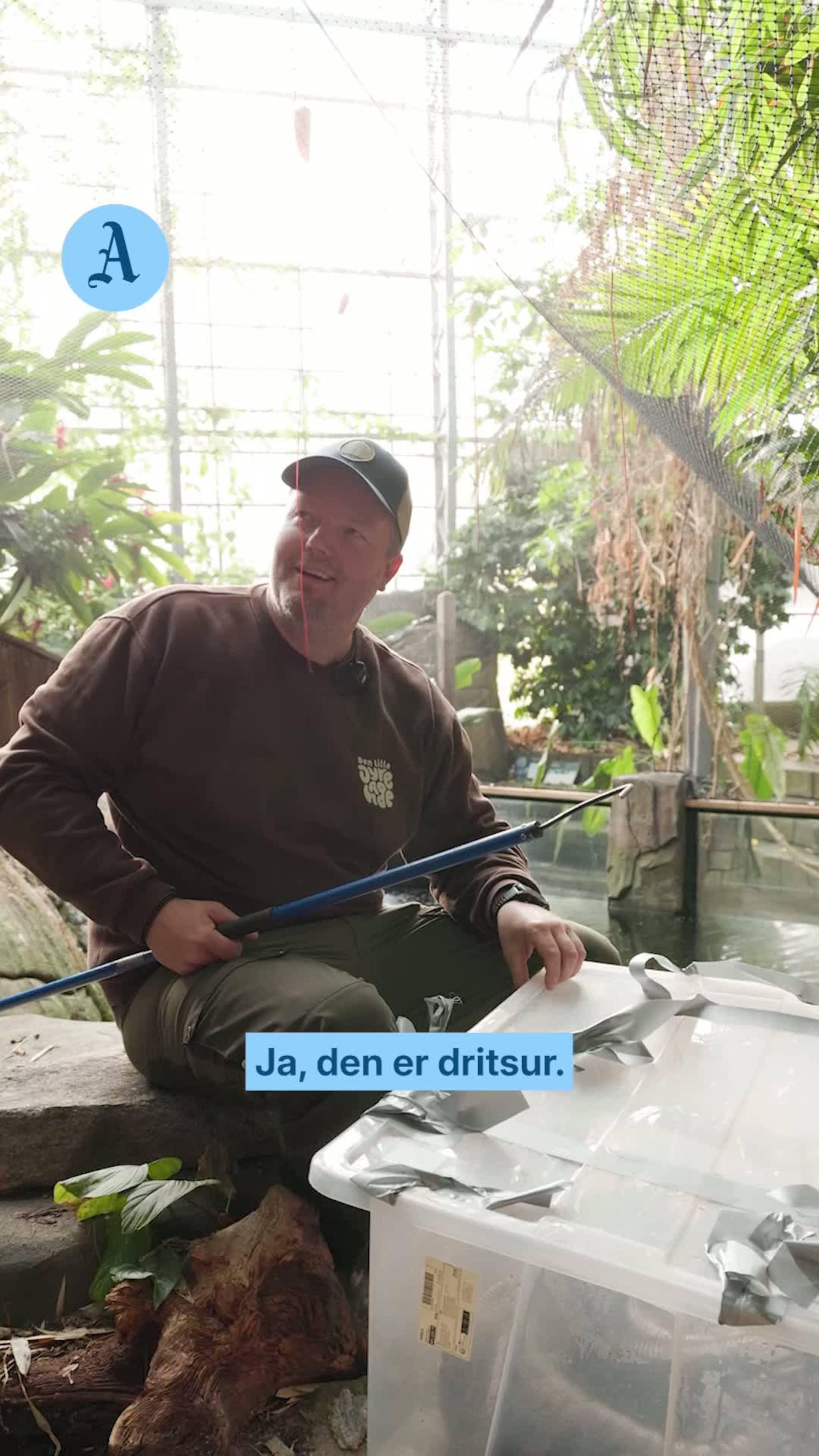 Verdens største flyttet inn
