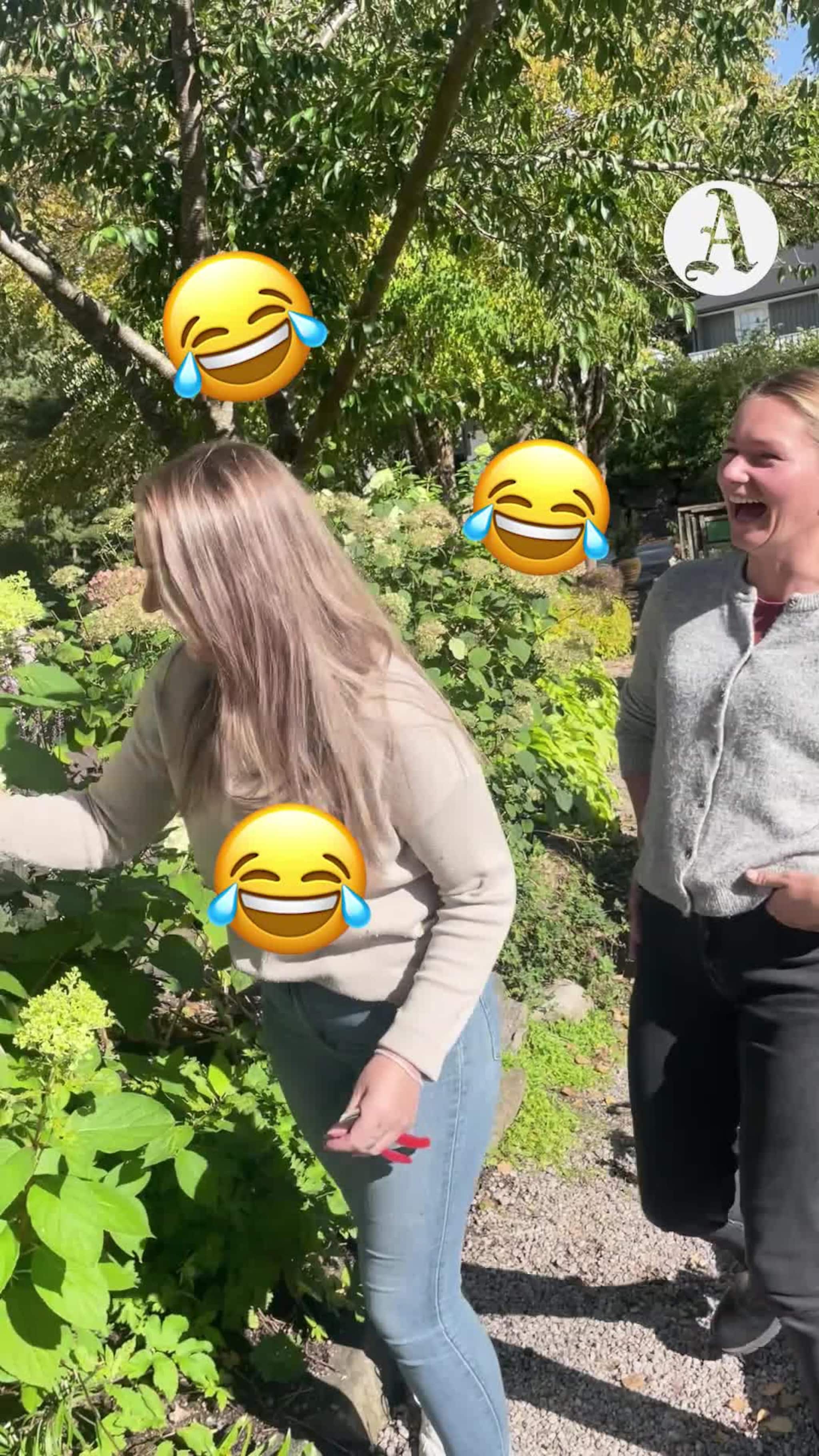 Er hagen klar for vinteren?
