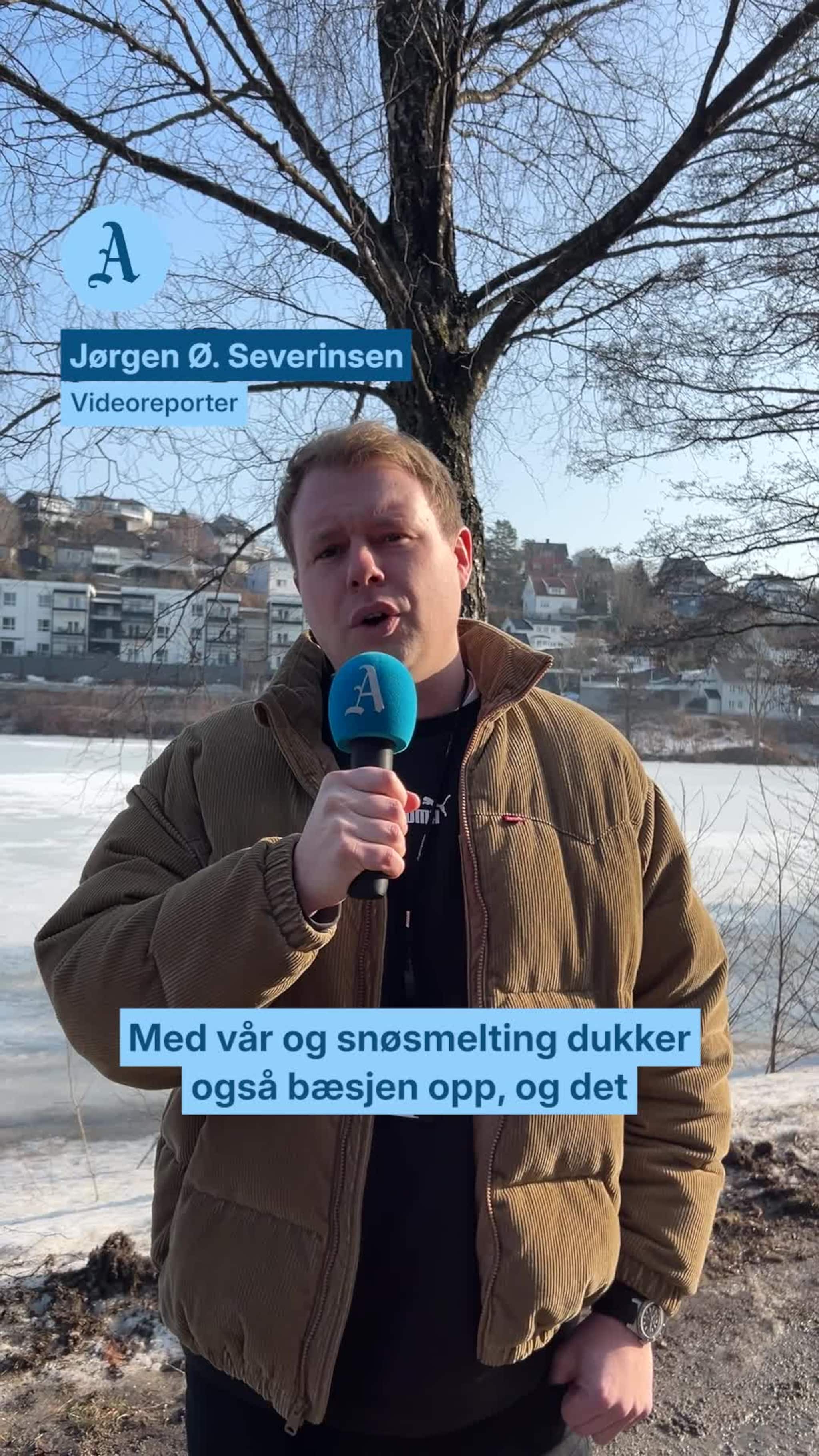 Har du tråkket i hundebæsj?