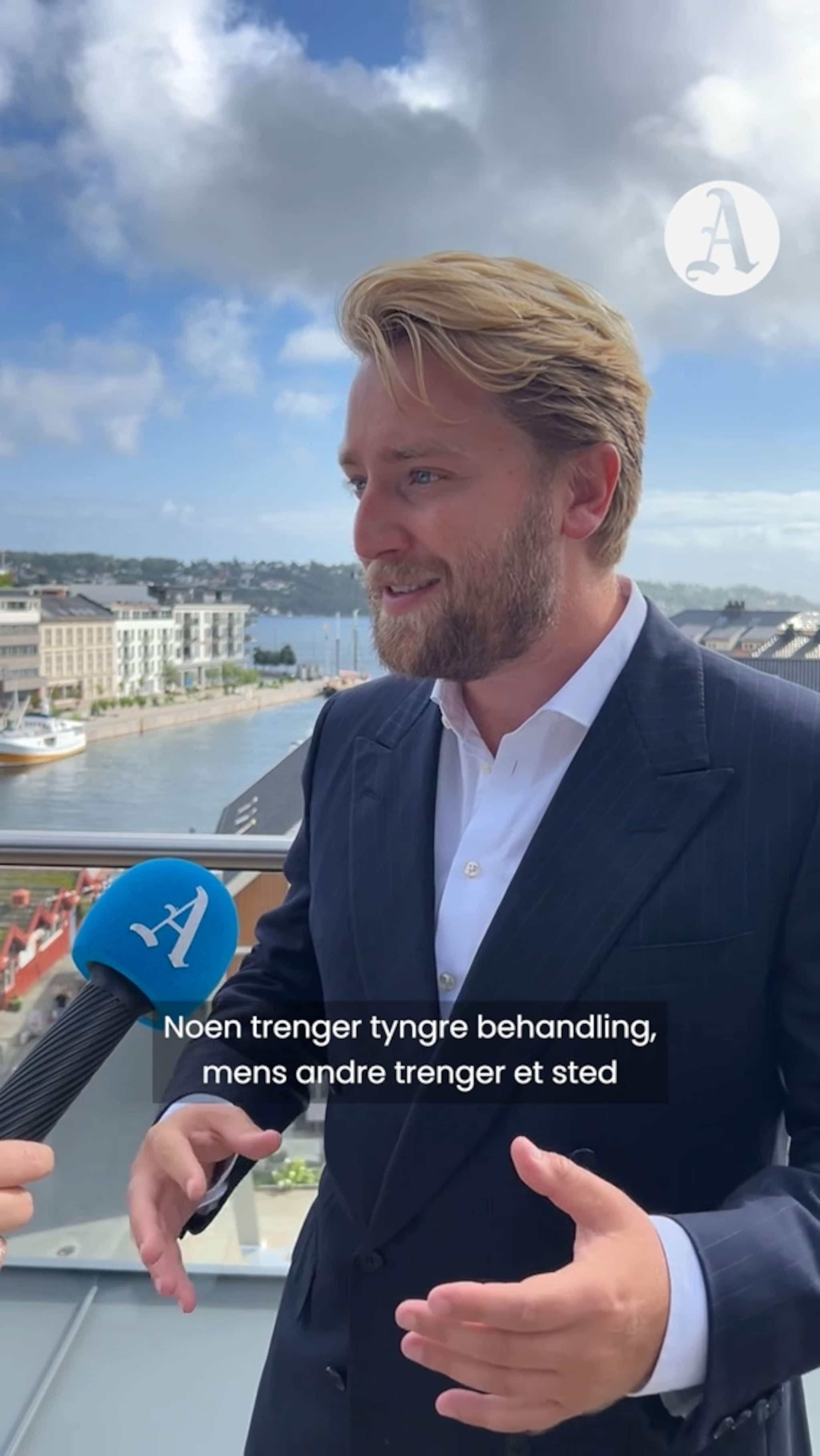 Dette mener de