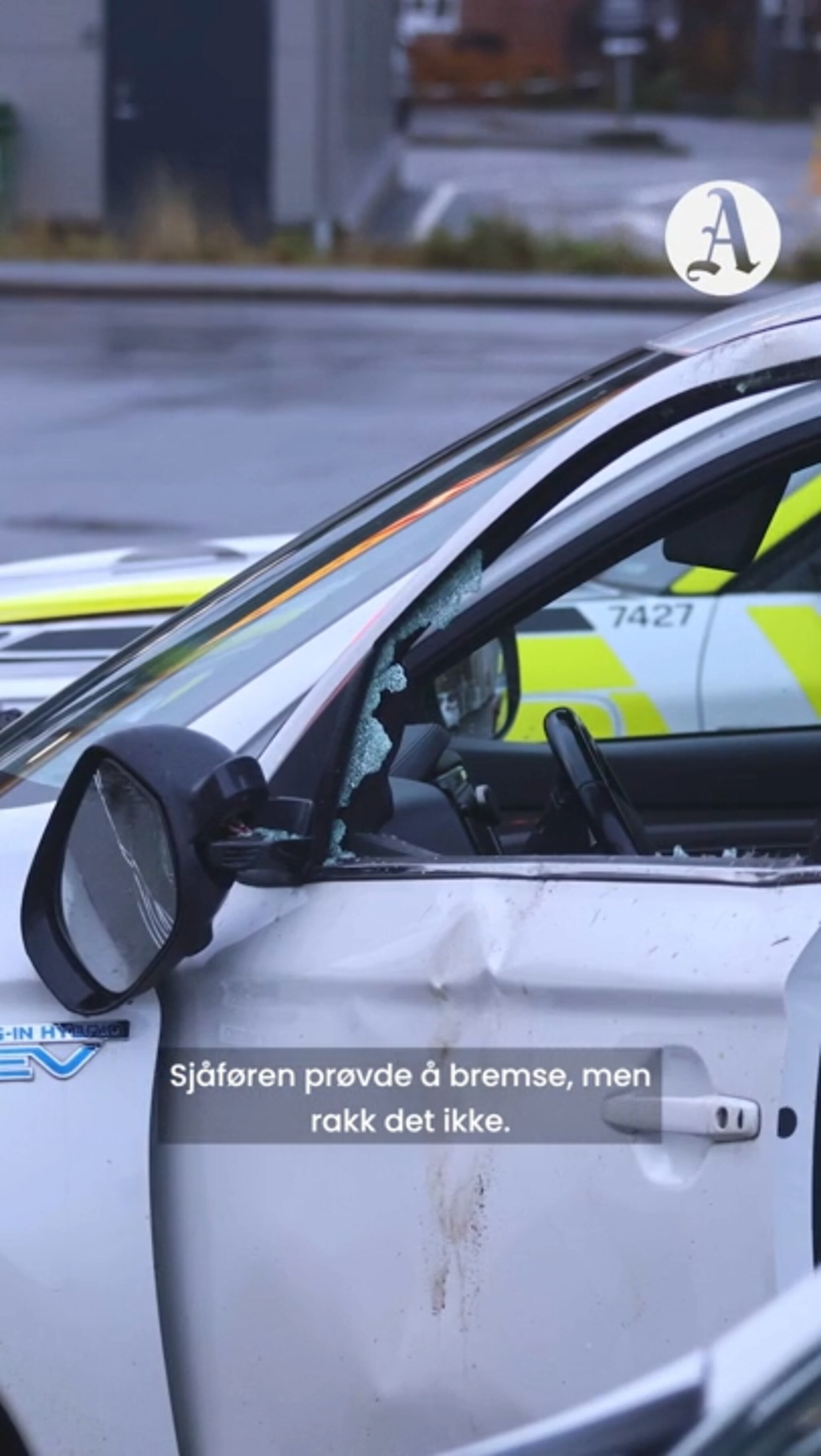 Elgen traff rett i førersiden