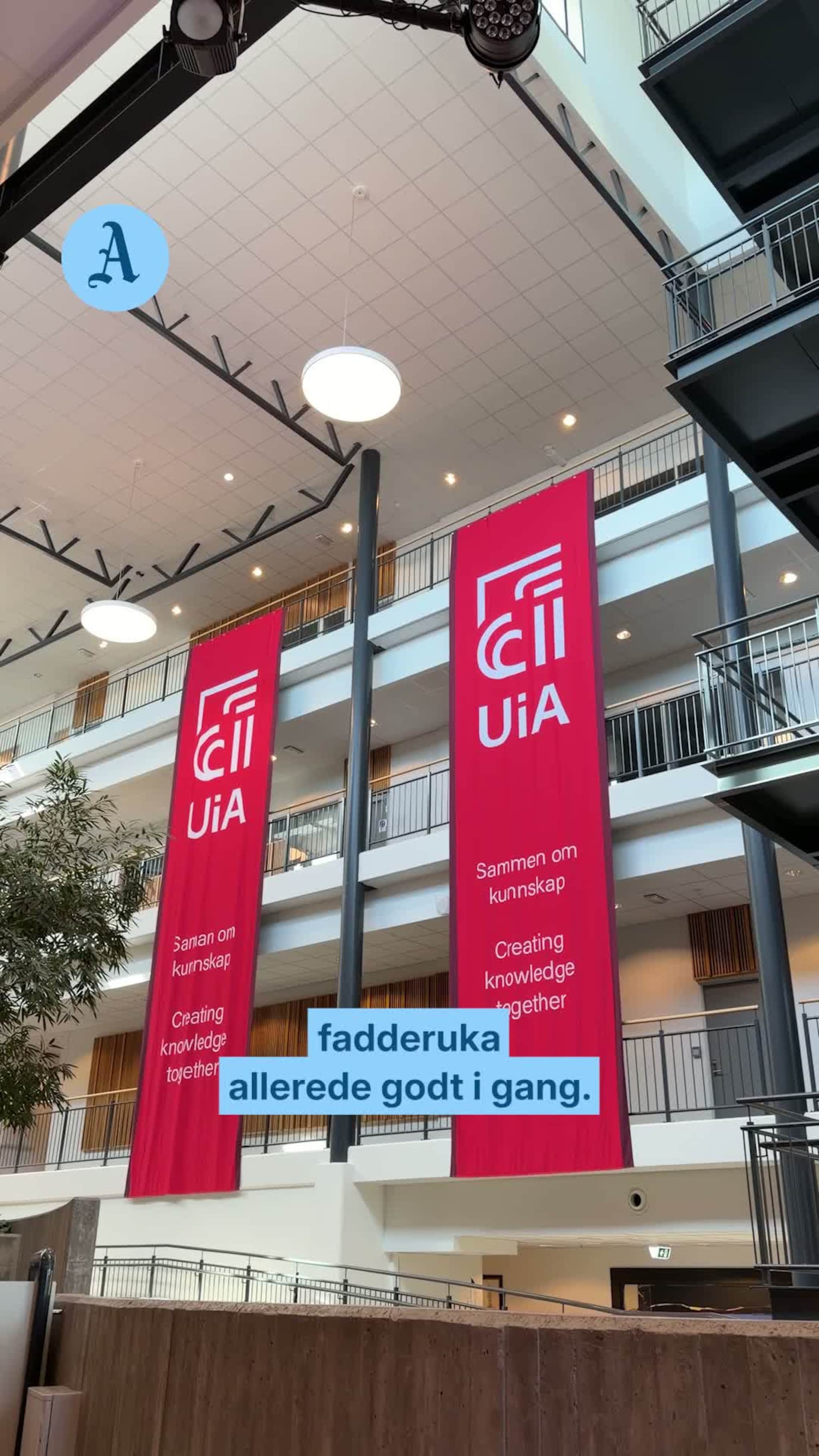 – Veldig viktig sosialt
