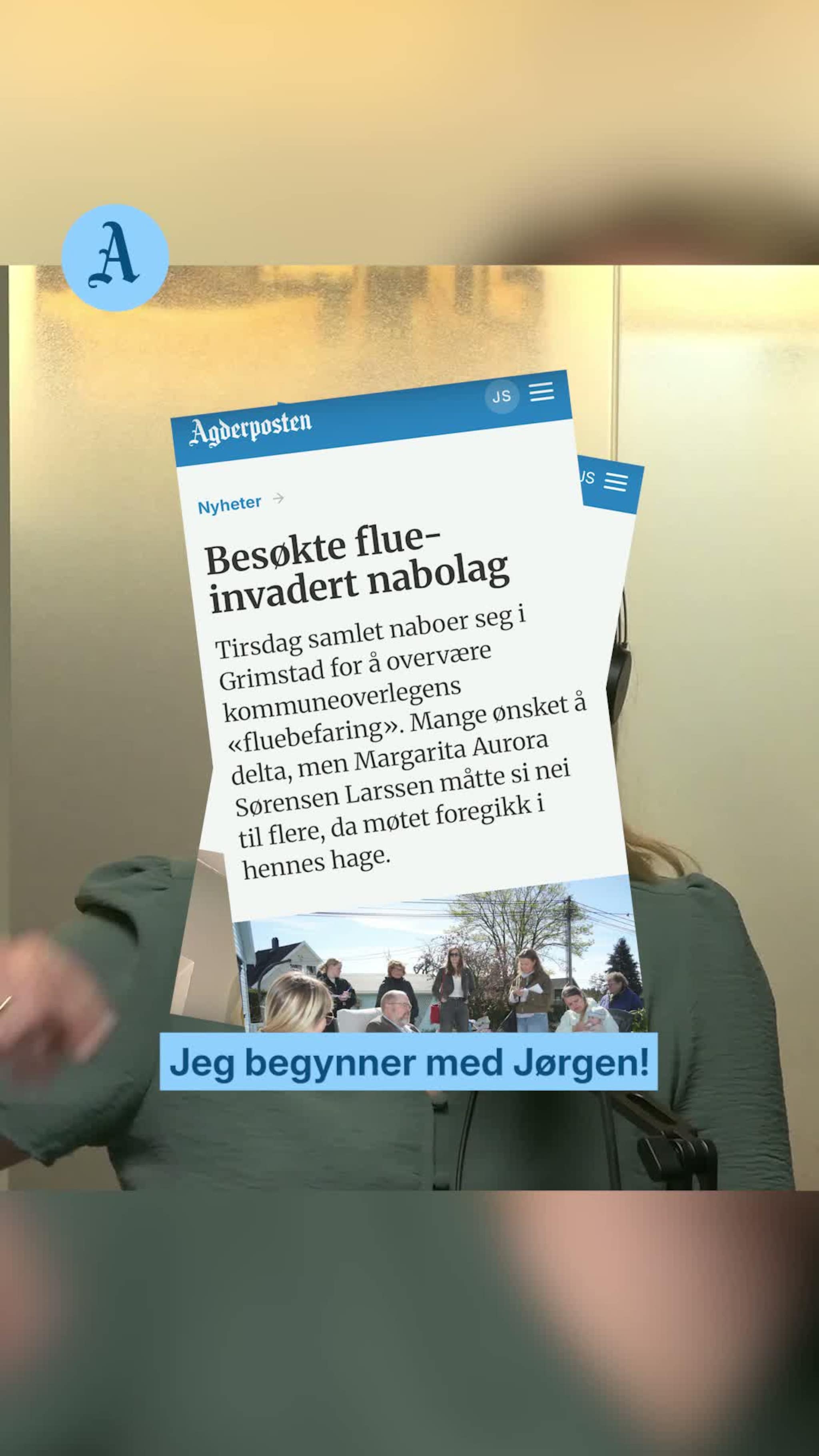 Ellevill flueinvasjon