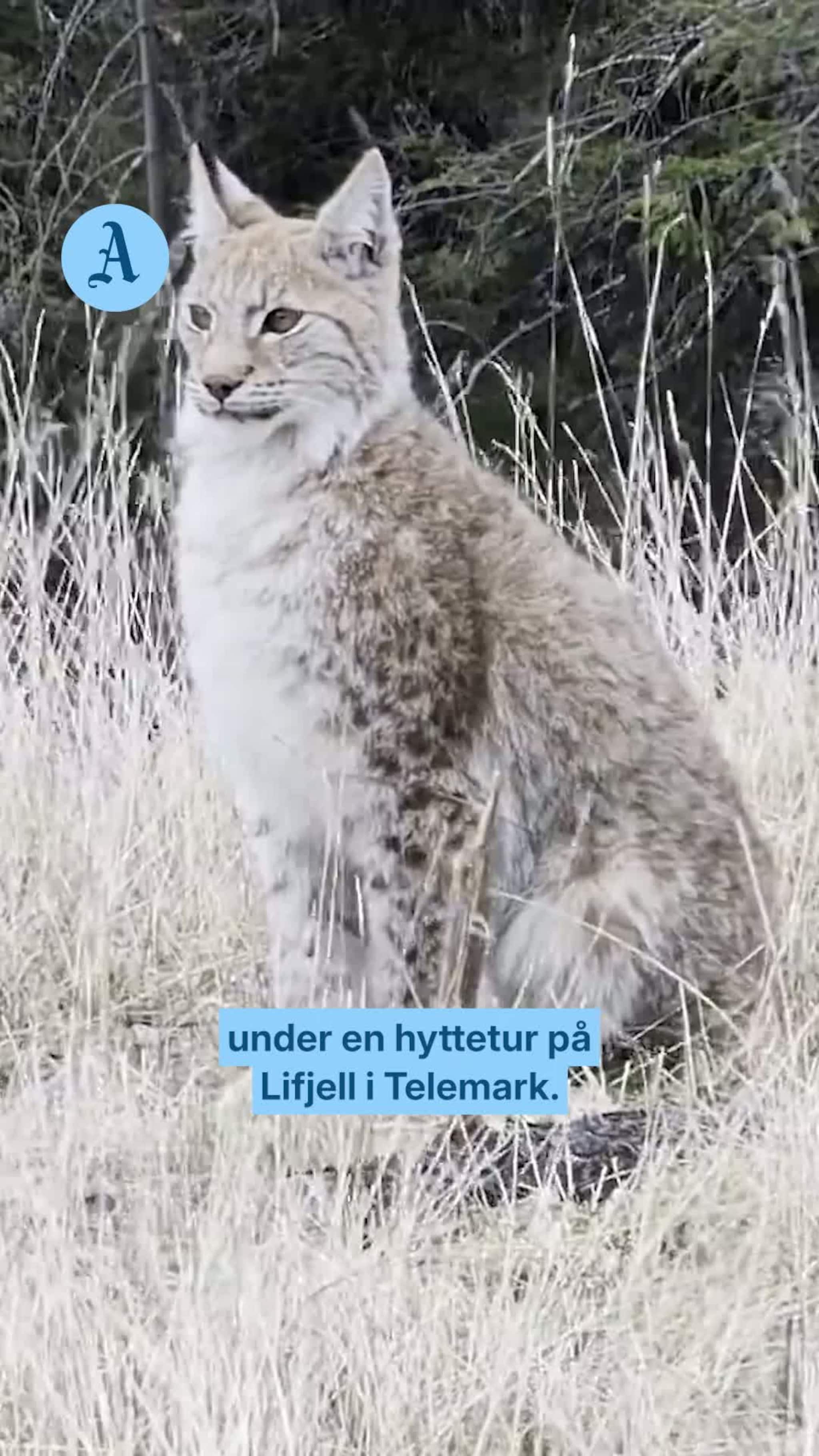 Fikk sjelden gjest