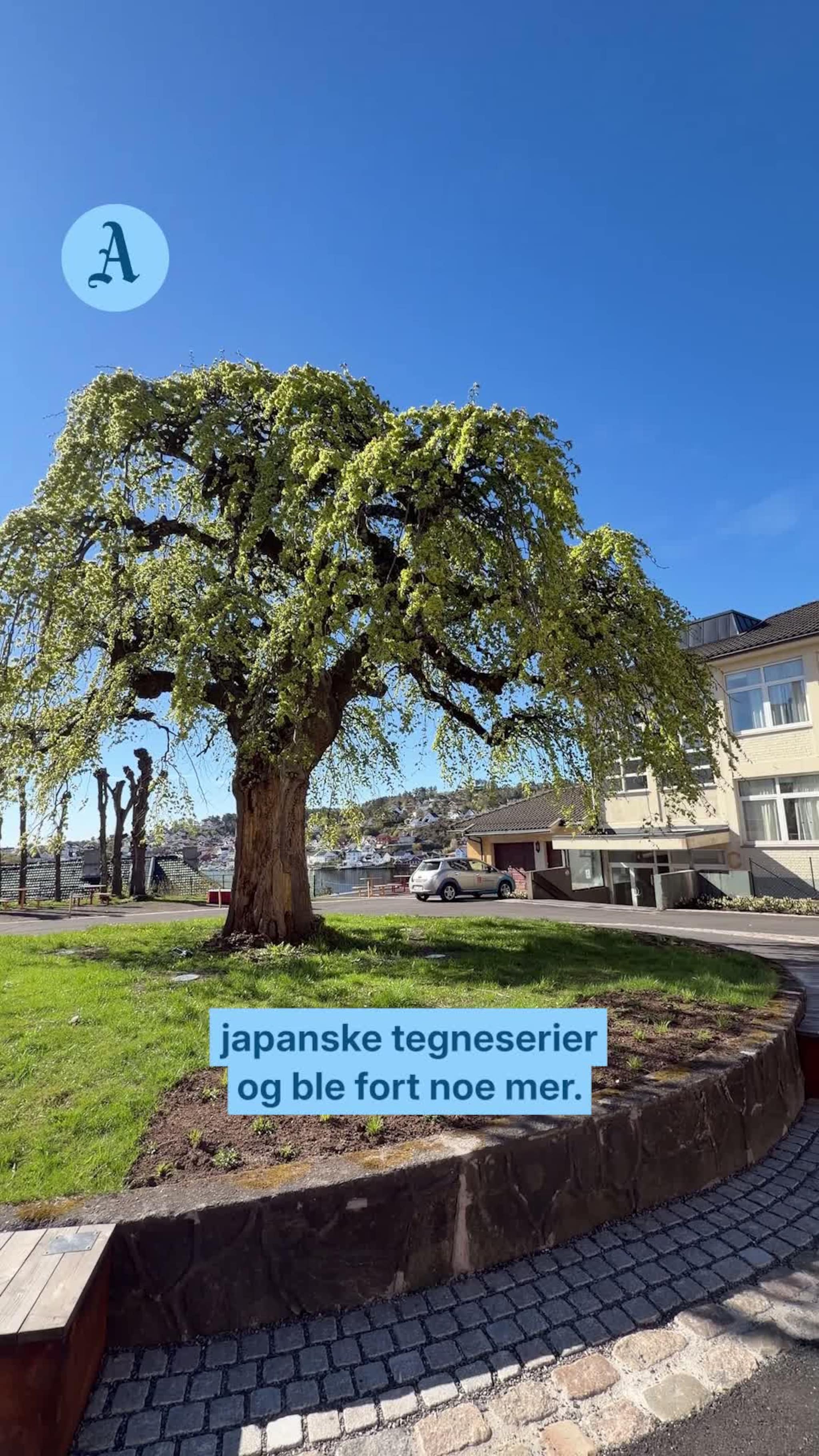William lærte seg japansk uten skole