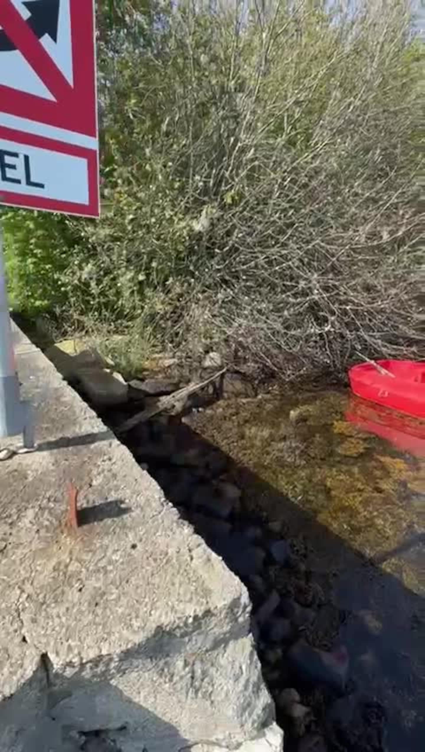 Slik så stranda ut