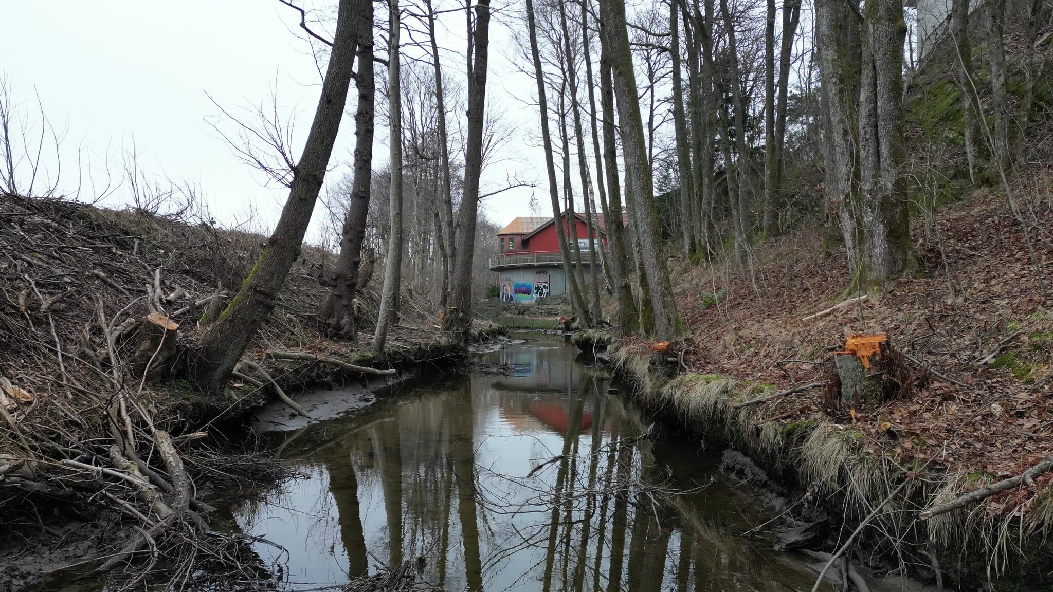 Trefelling langs Groosebekken