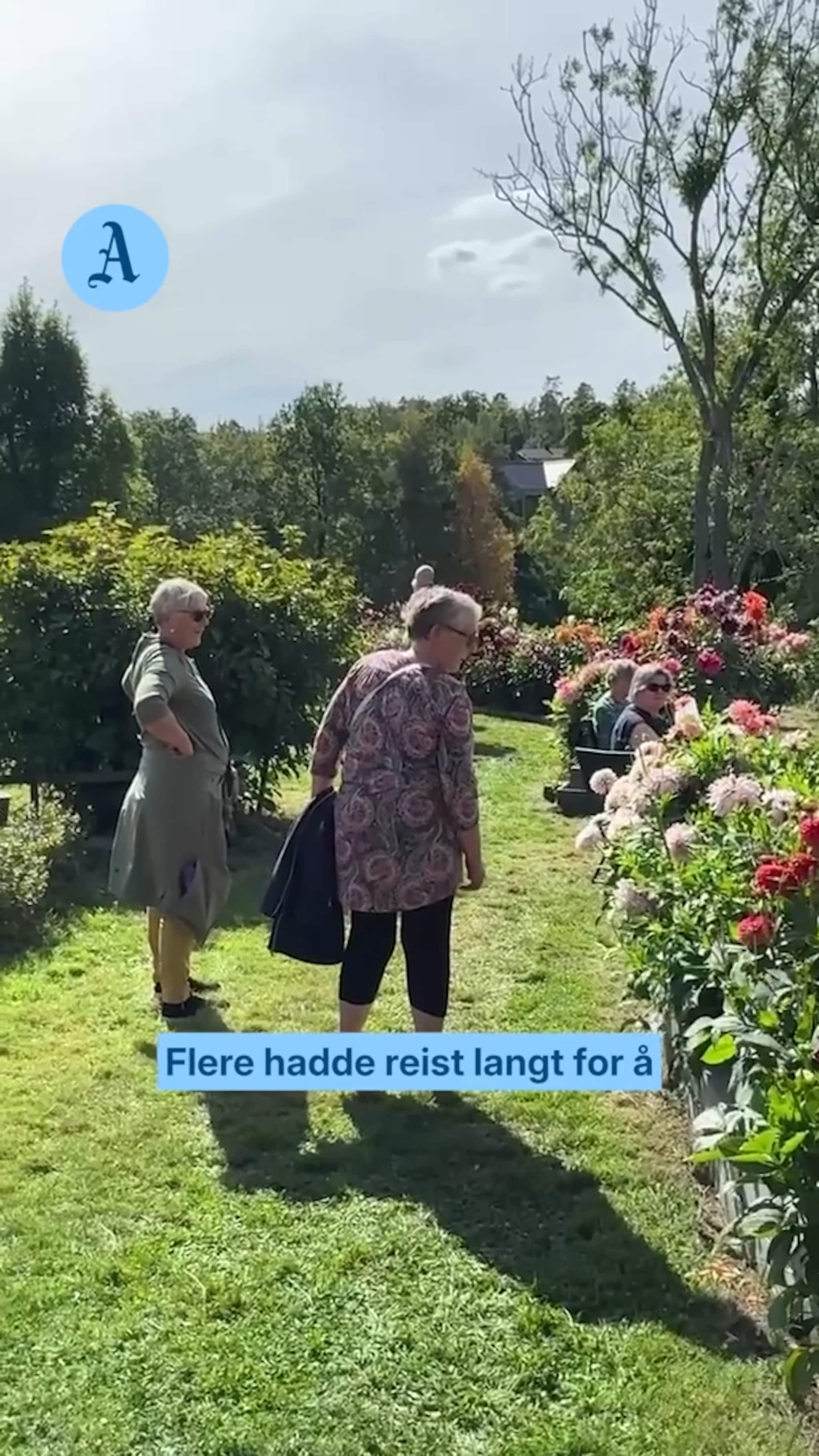 Åpnet hagen for publikum