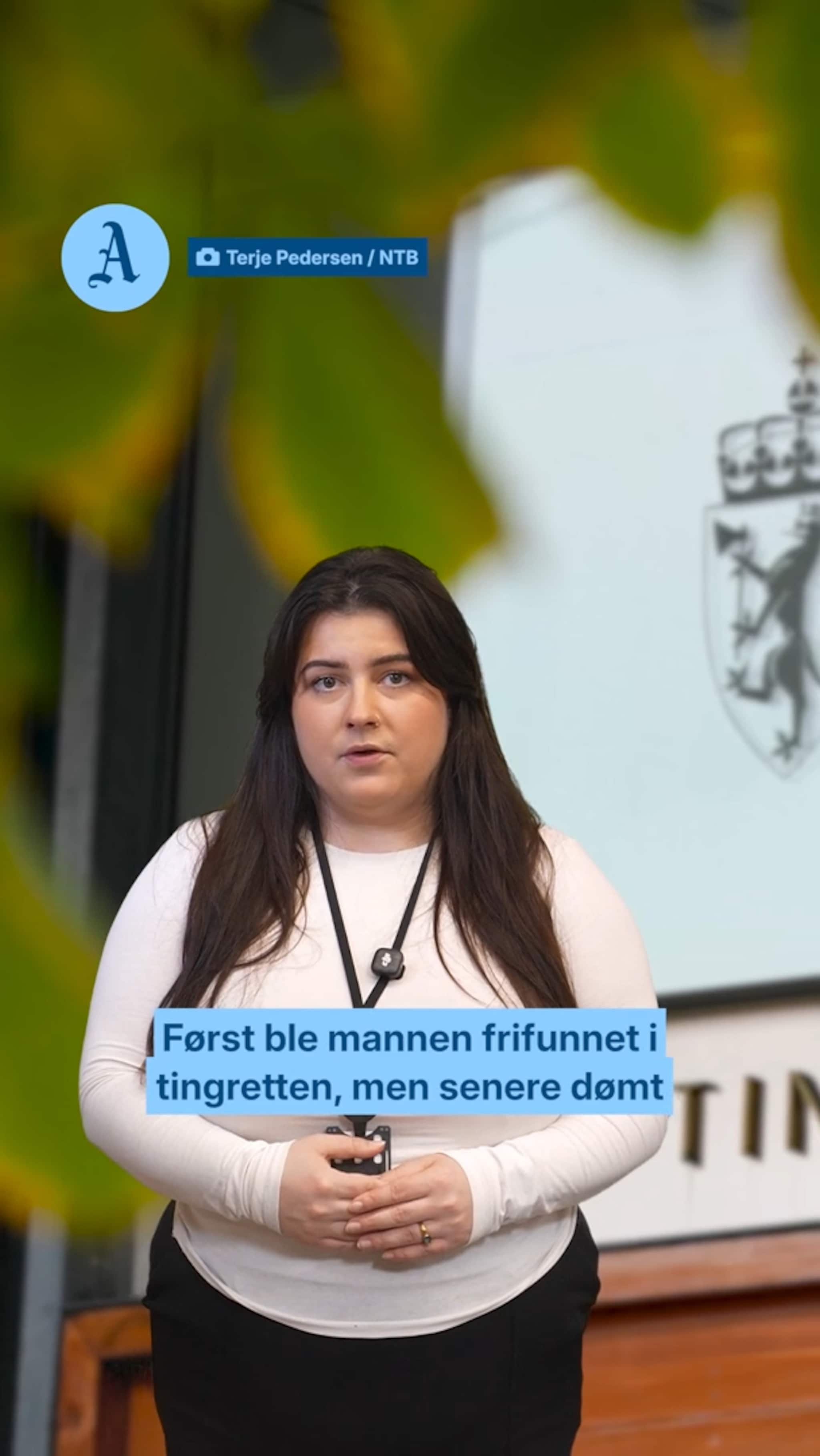 Artist dømt for voldtekt av sørlandskvinne