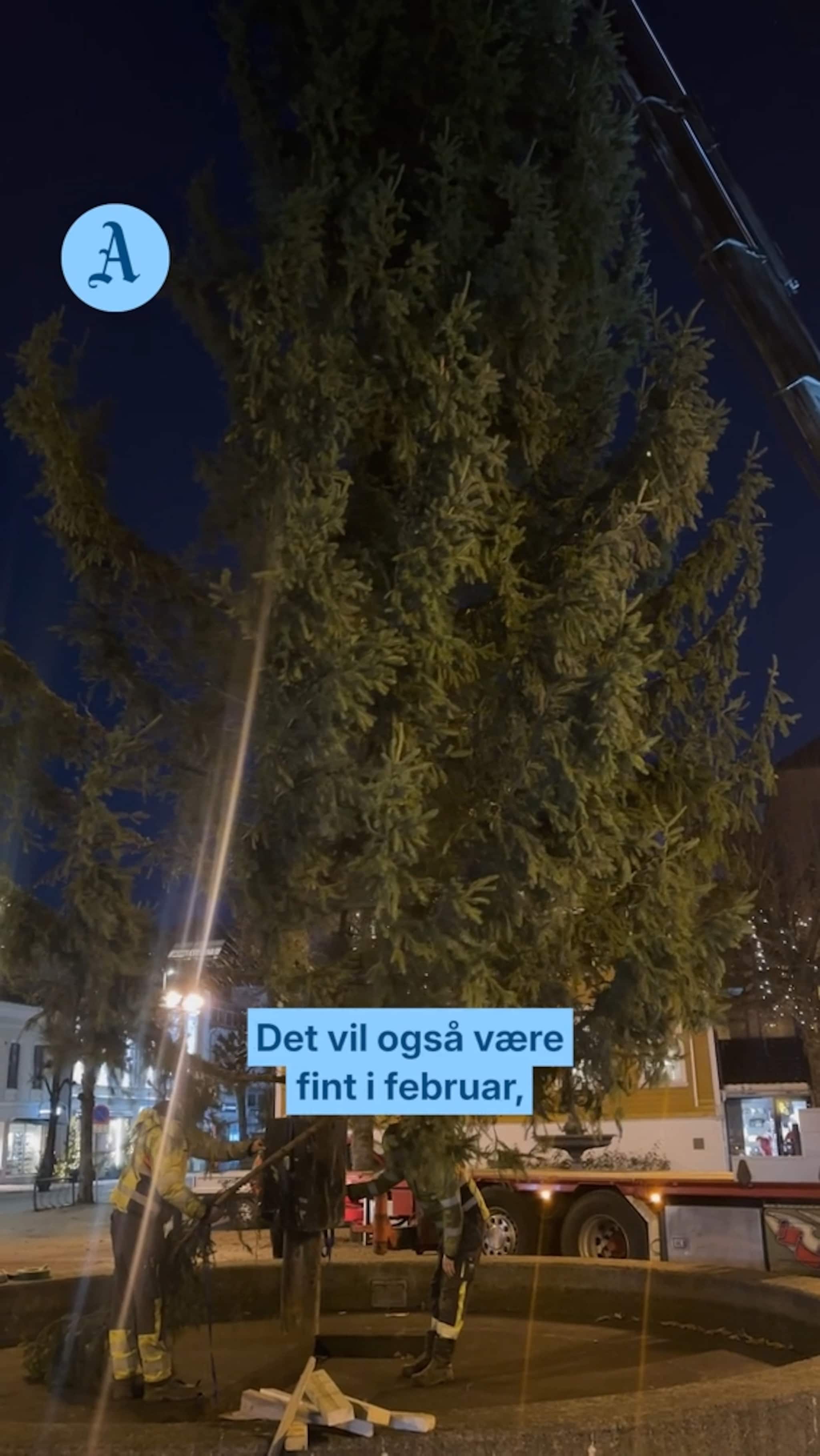 Nå er juletreet på plass på Torvet