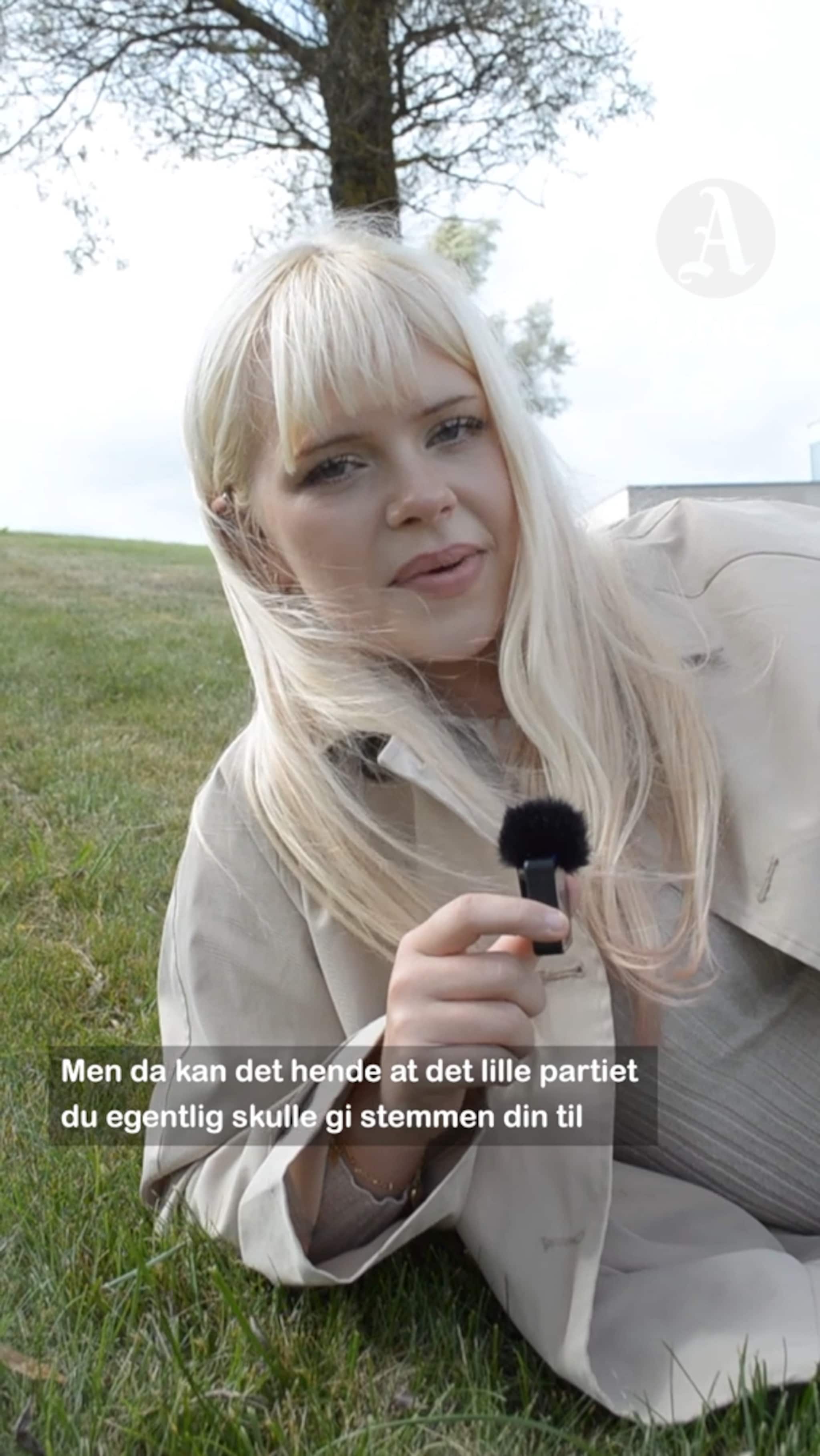 Stemmer du med hjertet eller taktisk?
