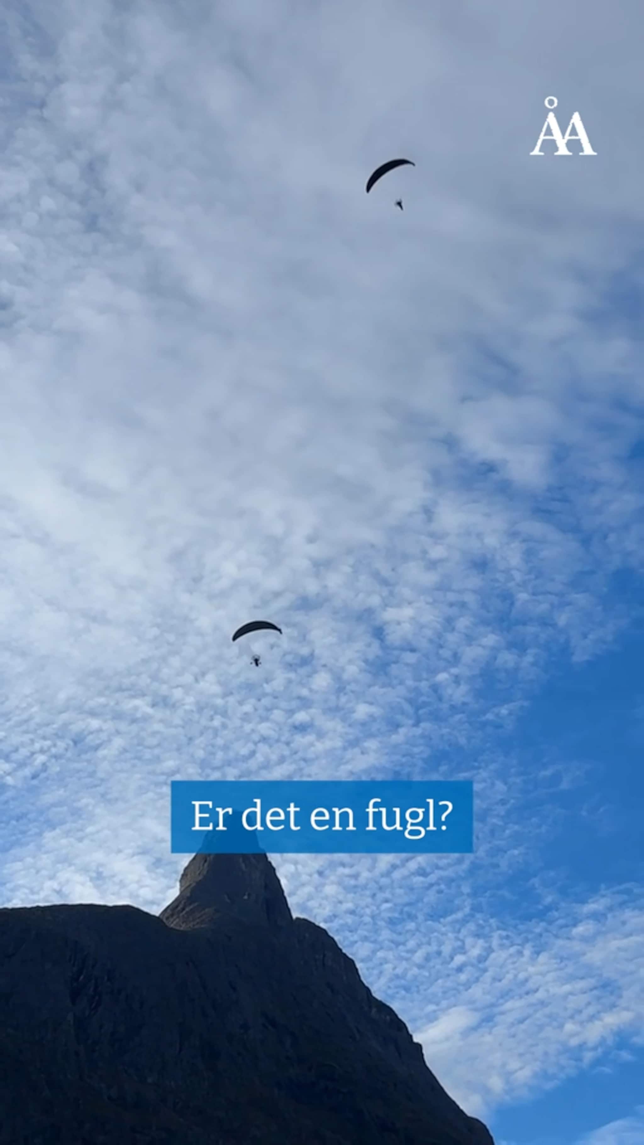 Paraglidere med motor